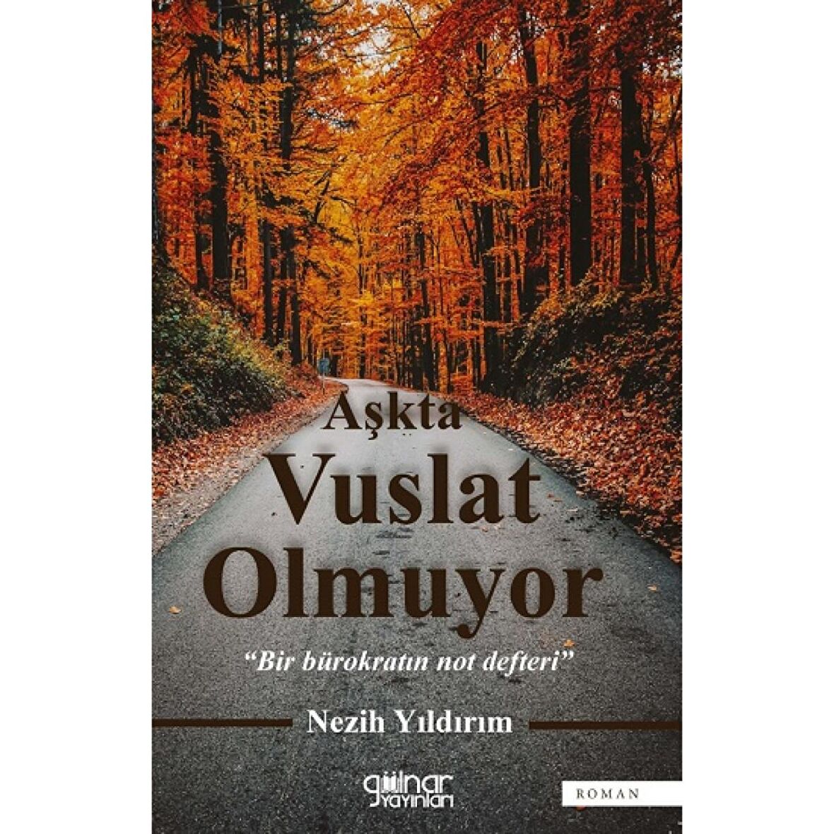 Aşkta Vuslat Olmuyor - Bir Bürokratın Not Defteri