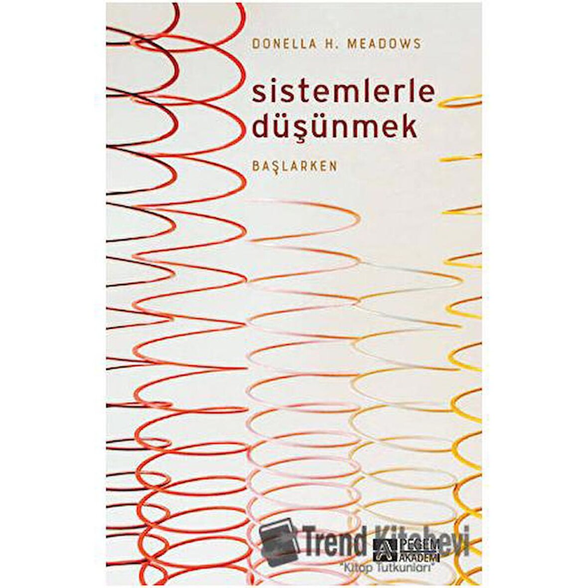 Sistemlerle Düşünmek