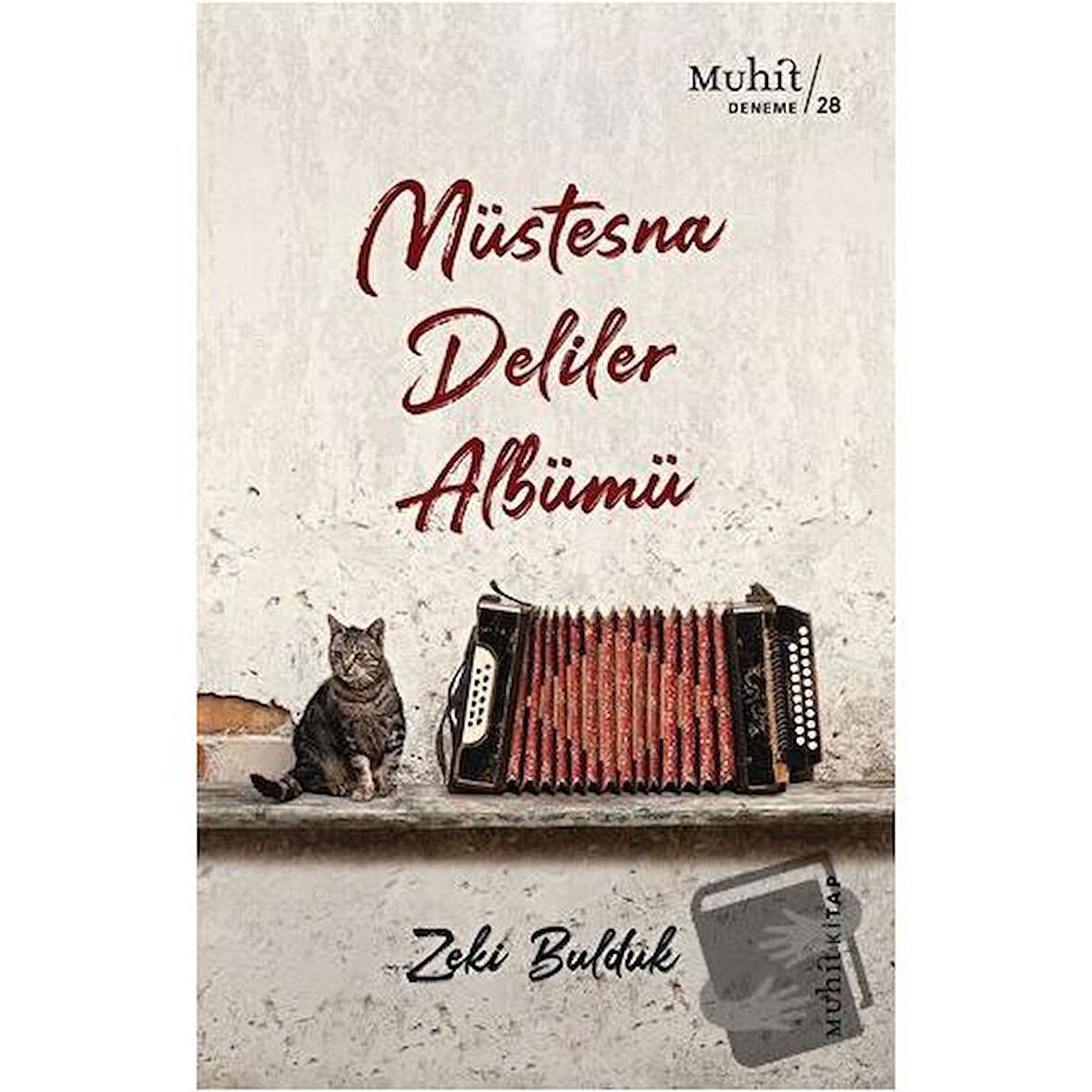 Müstesna Deliler Albümü