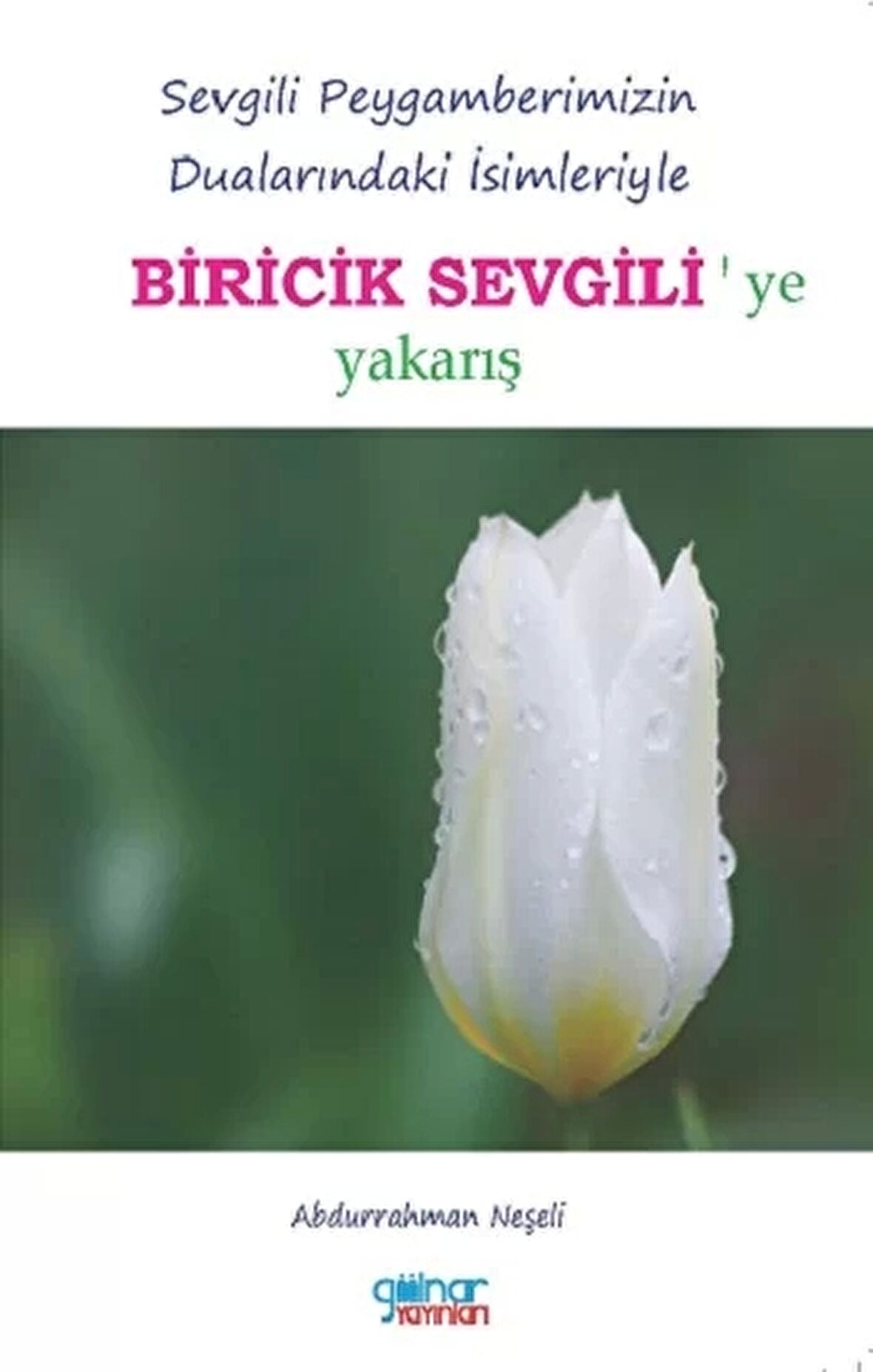 Biricik Sevgili'ye Yakarış