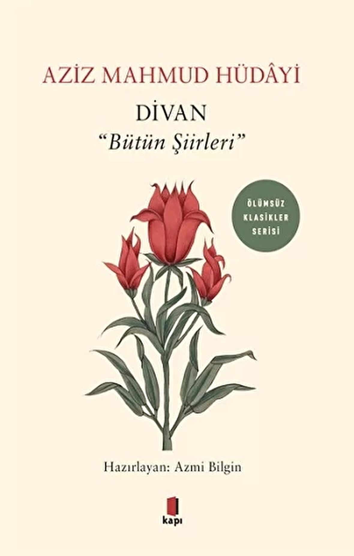 Divan - "Bütün Şiirleri"