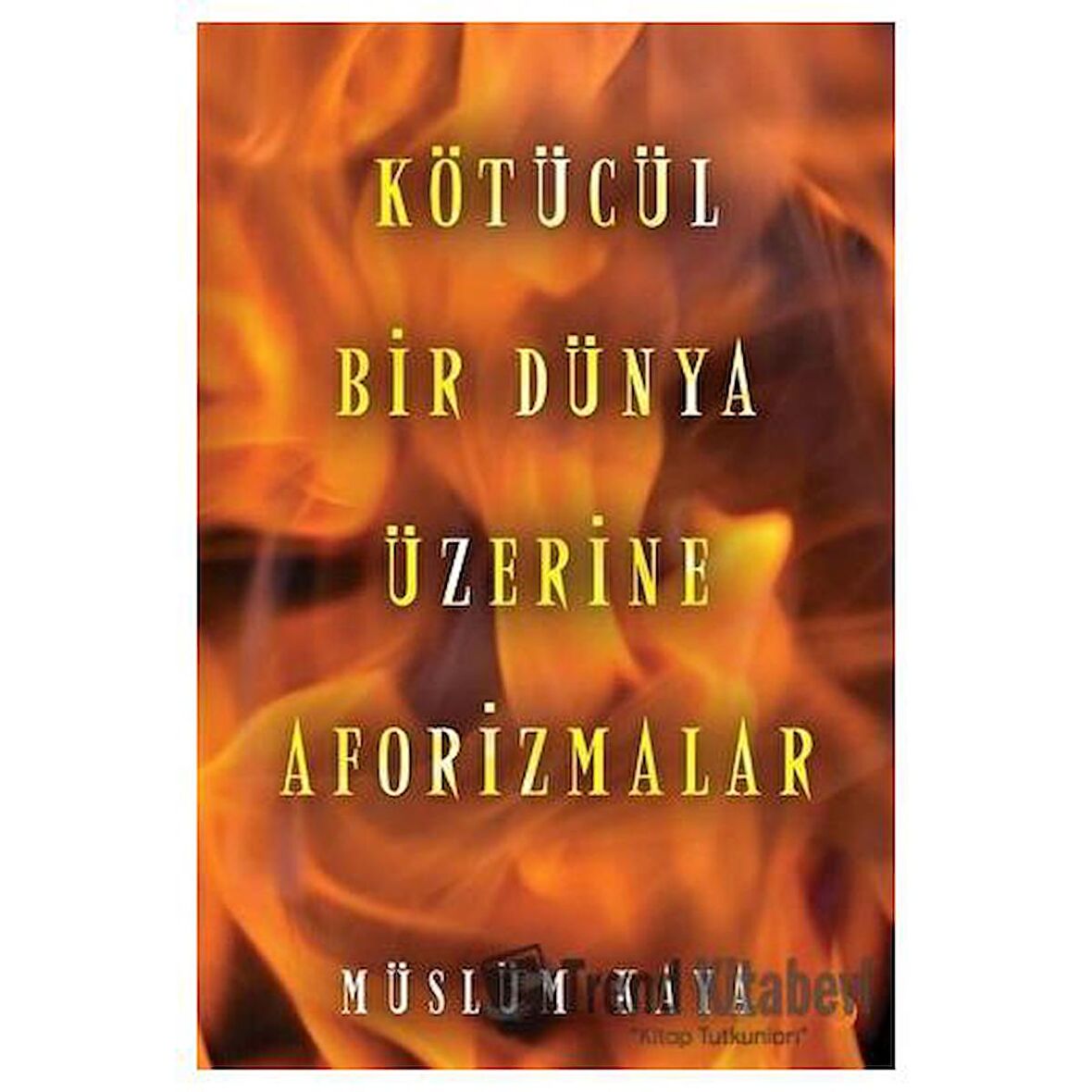 Kötücül Bir Dünya Üzerine Aforizmalar