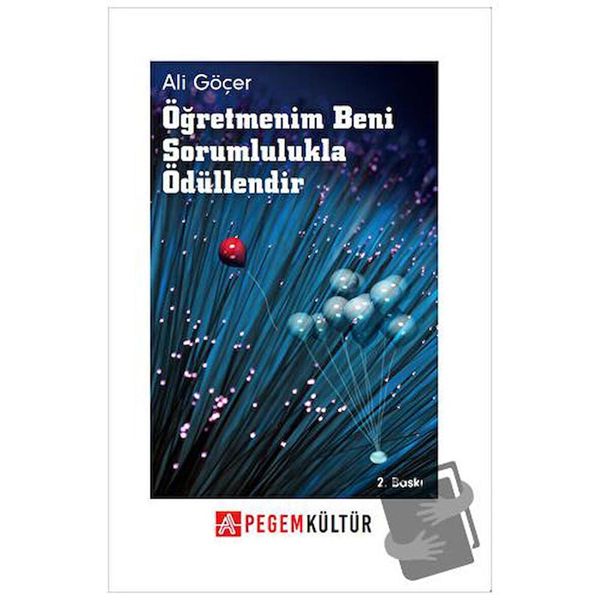 Öğretmenim Beni Sorumlulukla Ödüllendir
