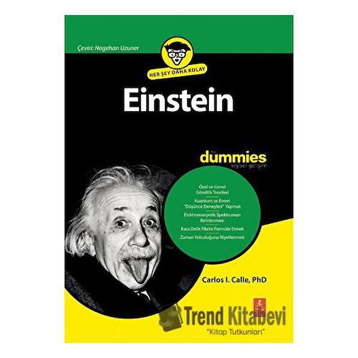 Einstein for Dummies