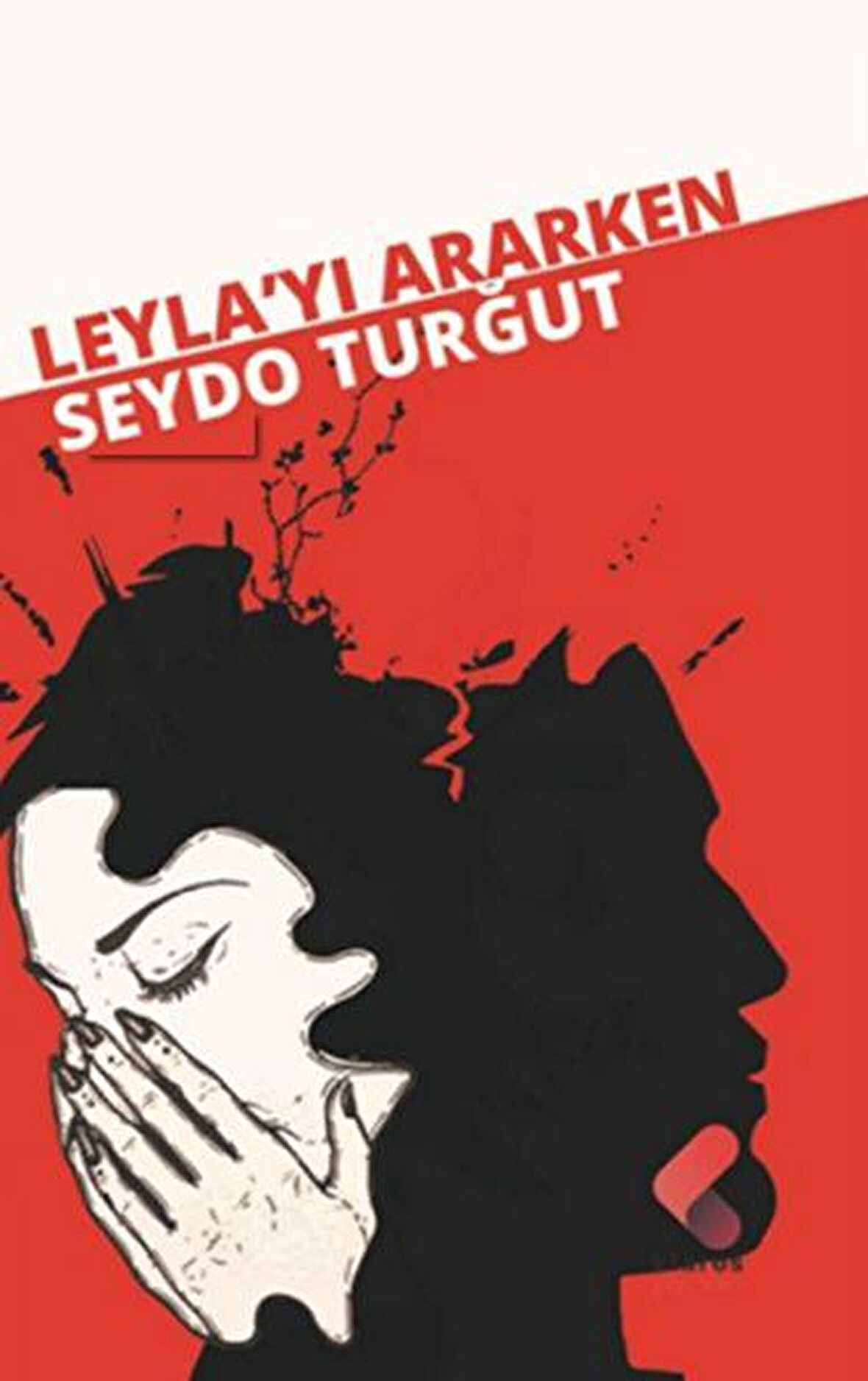 Leyla'yı Ararken