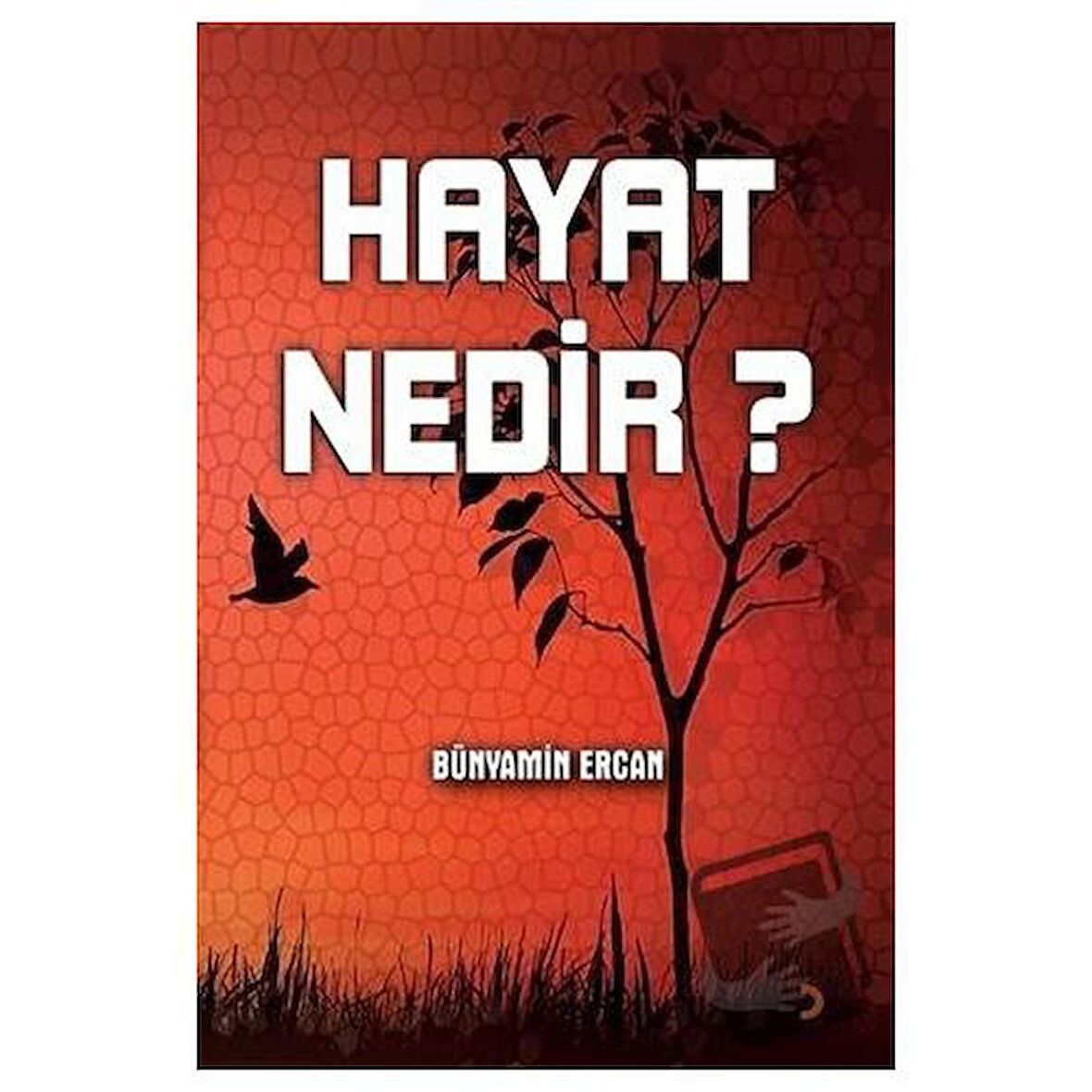 Hayat Nedir?