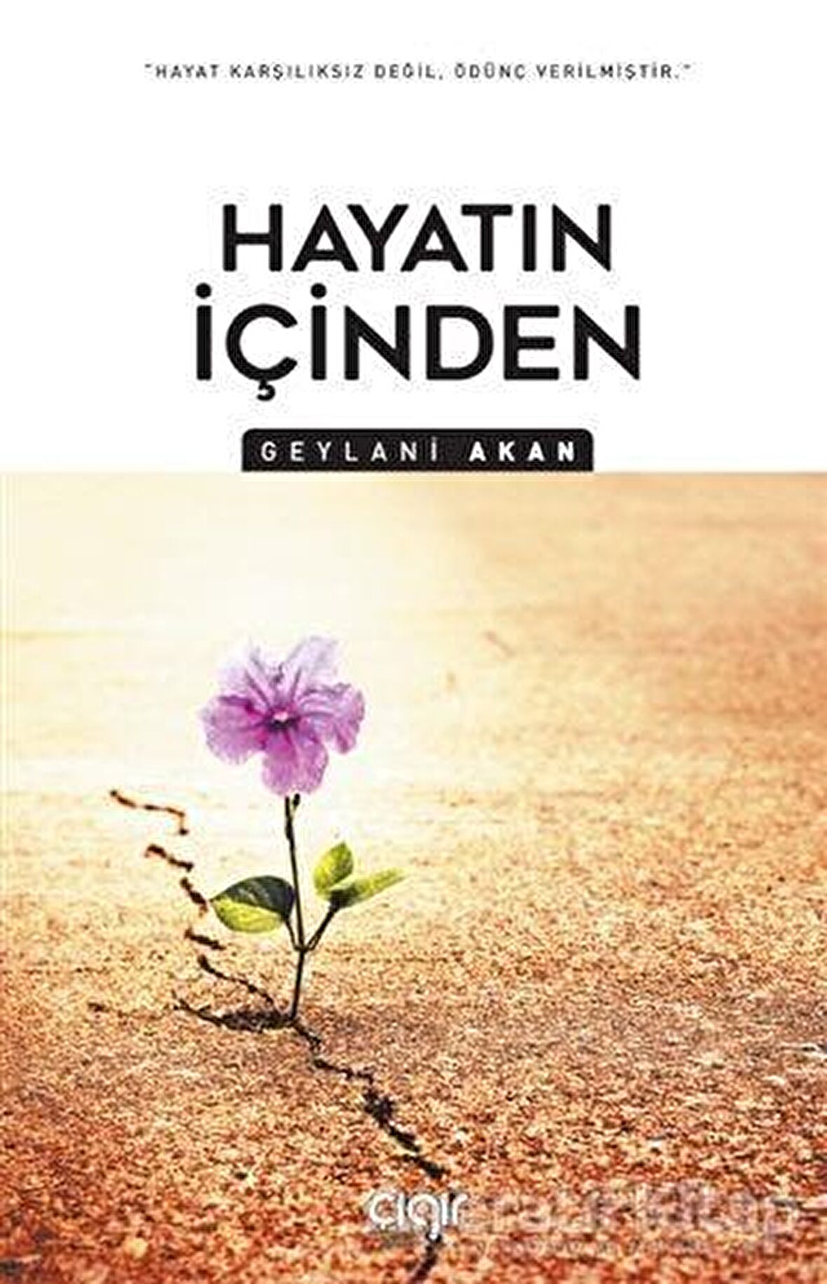 Hayatın İçinden