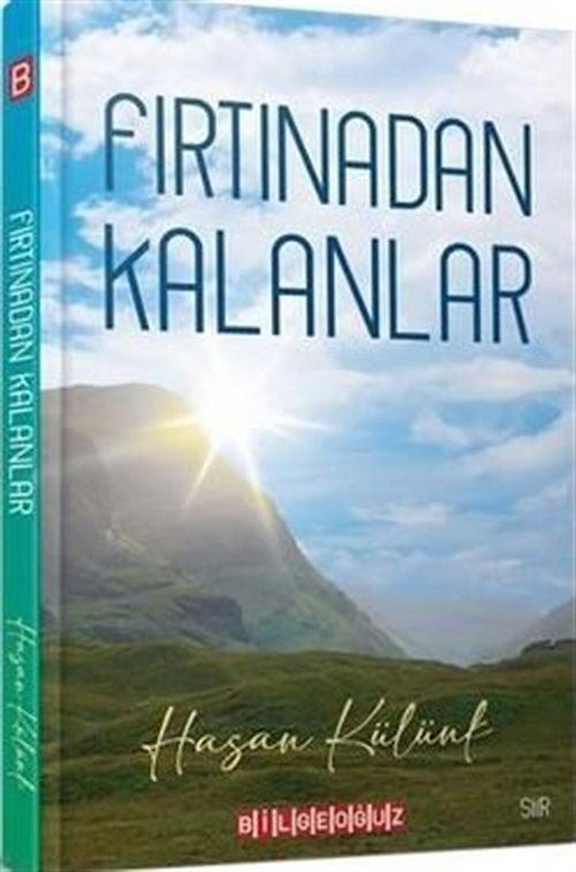 Fırtınadan Kalanlar