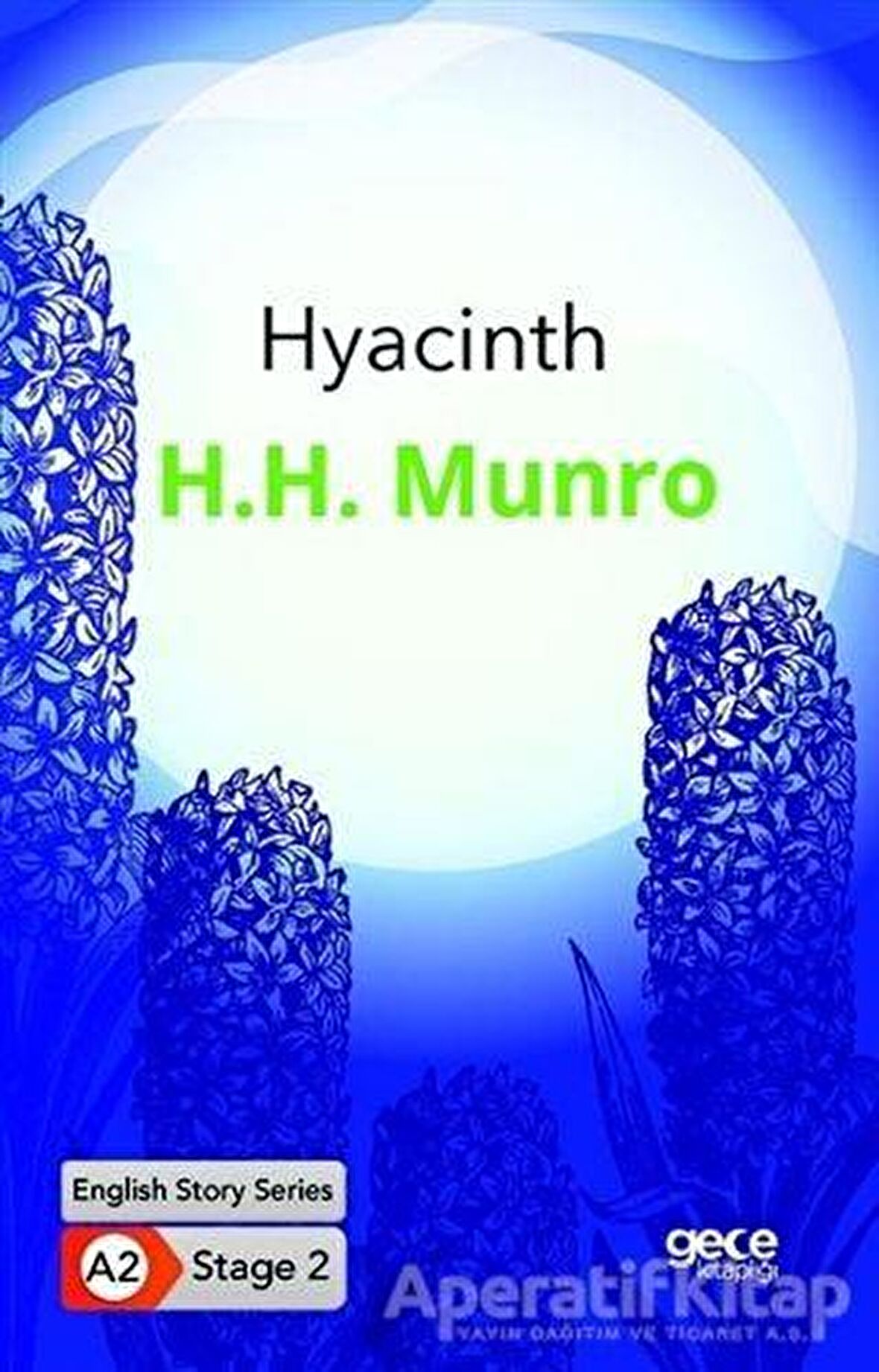 Hyacinth - İngilizce Hikayeler A2 Stage 2