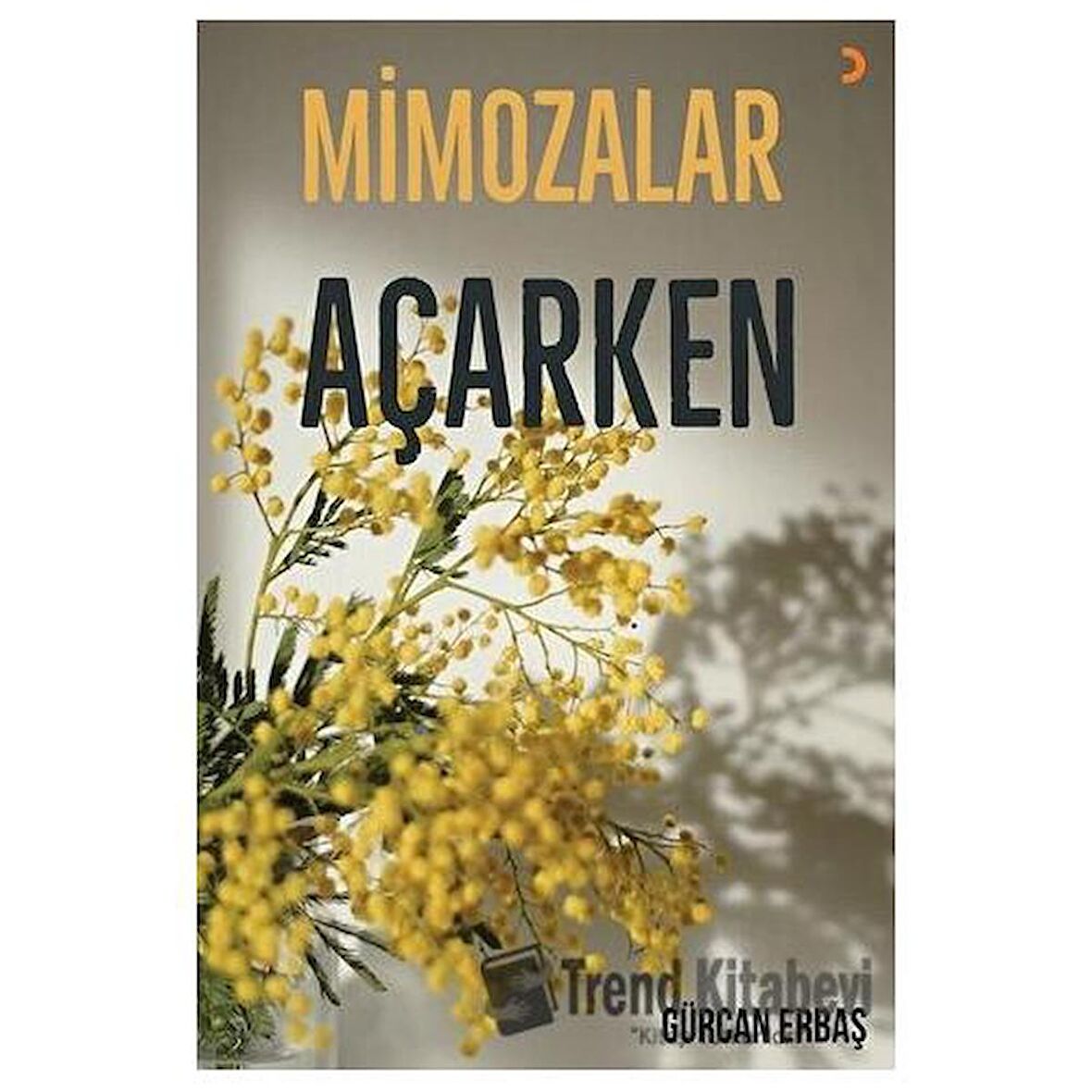 Mimozalar Açarken