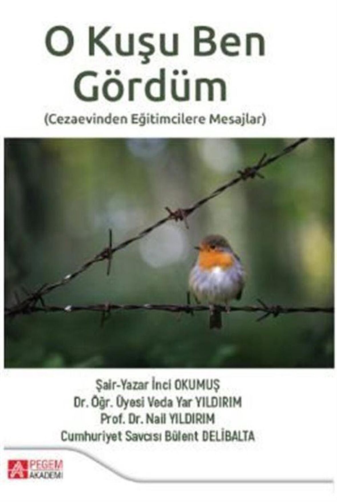 O Kuşu Ben Gördüm