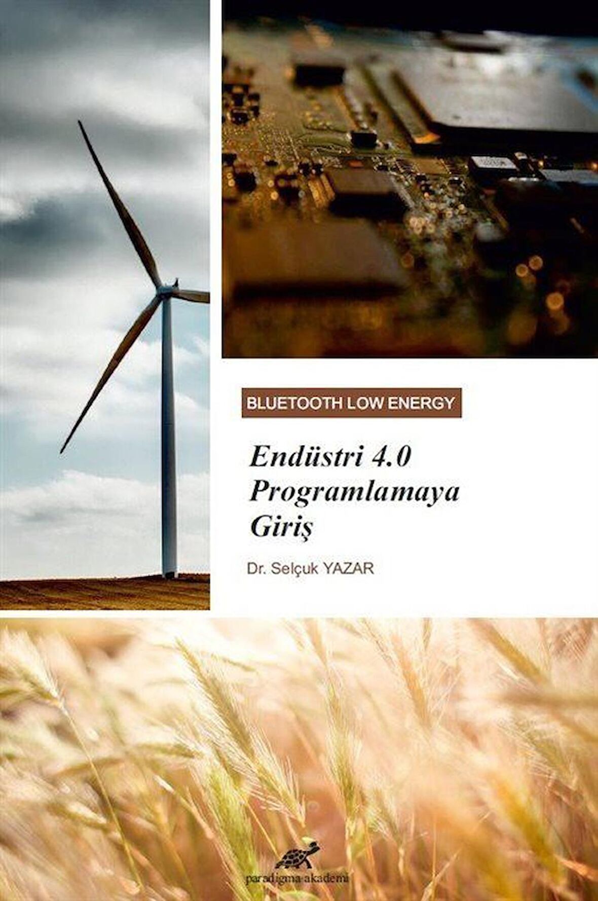 Endüstri 4.0 Programlamaya Giriş / Selçuk Yazar