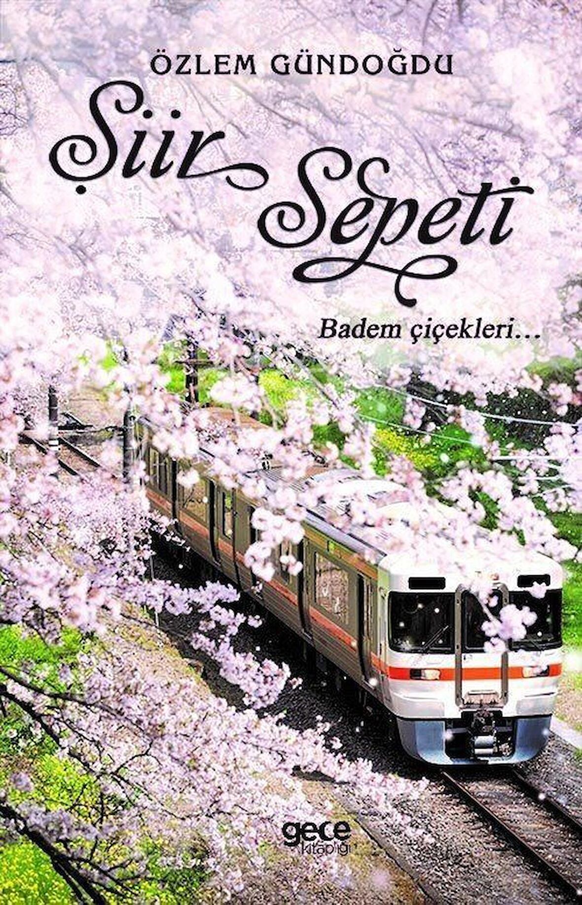 Şiir Sepeti 2