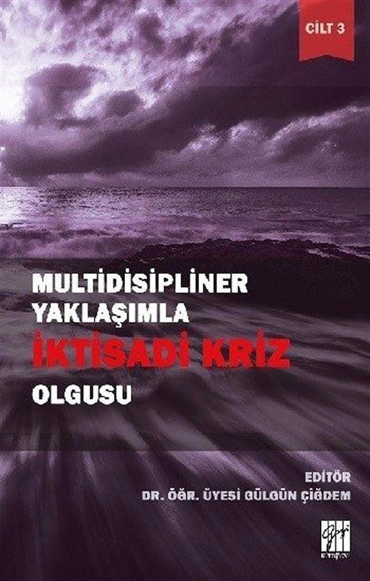 Multidisipliner Yaklaşımla İktisadi Kriz Olgusu Cilt 3