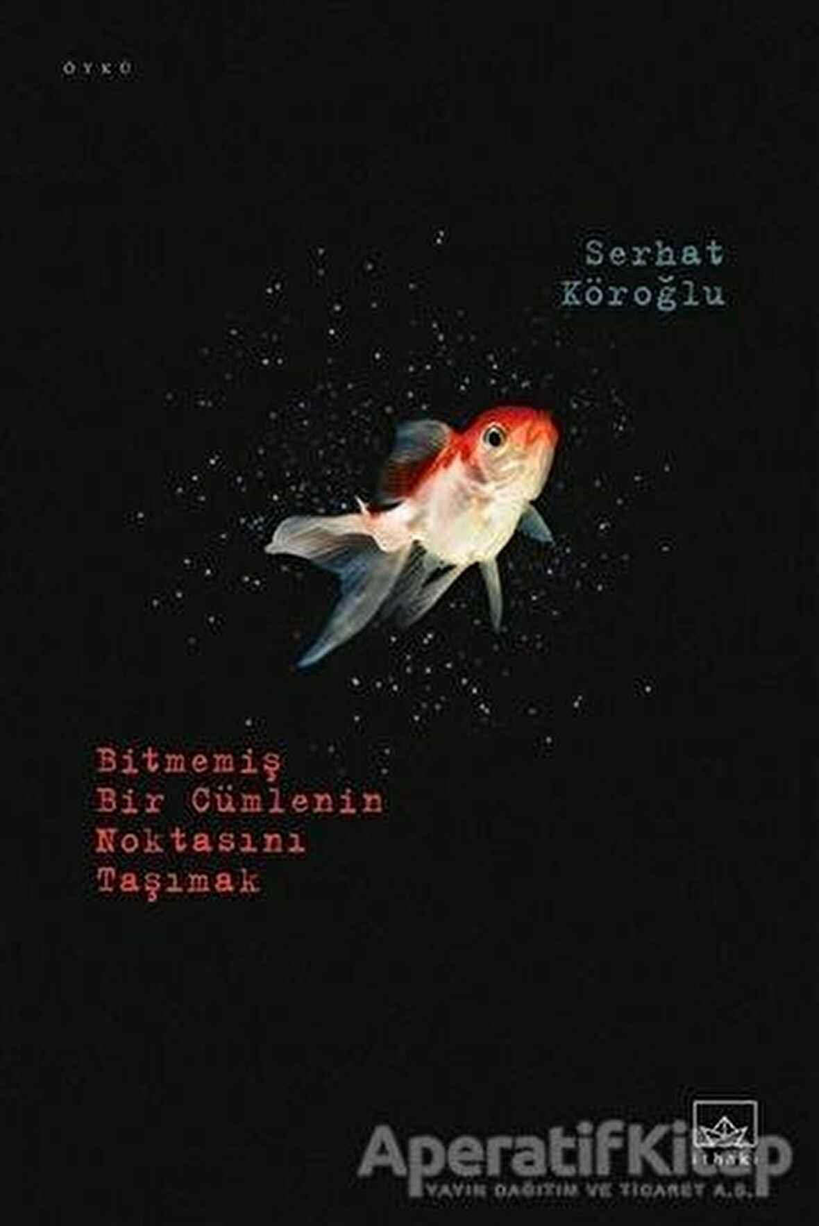 Bitmemiş Bir Cümlenin Noktasını Taşımak