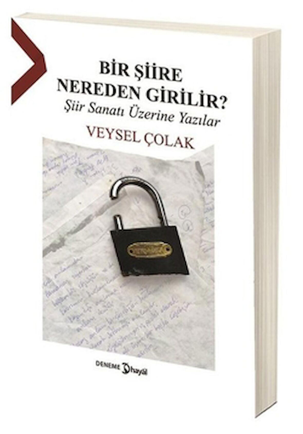 Bir Şiire Nereden Girilir?