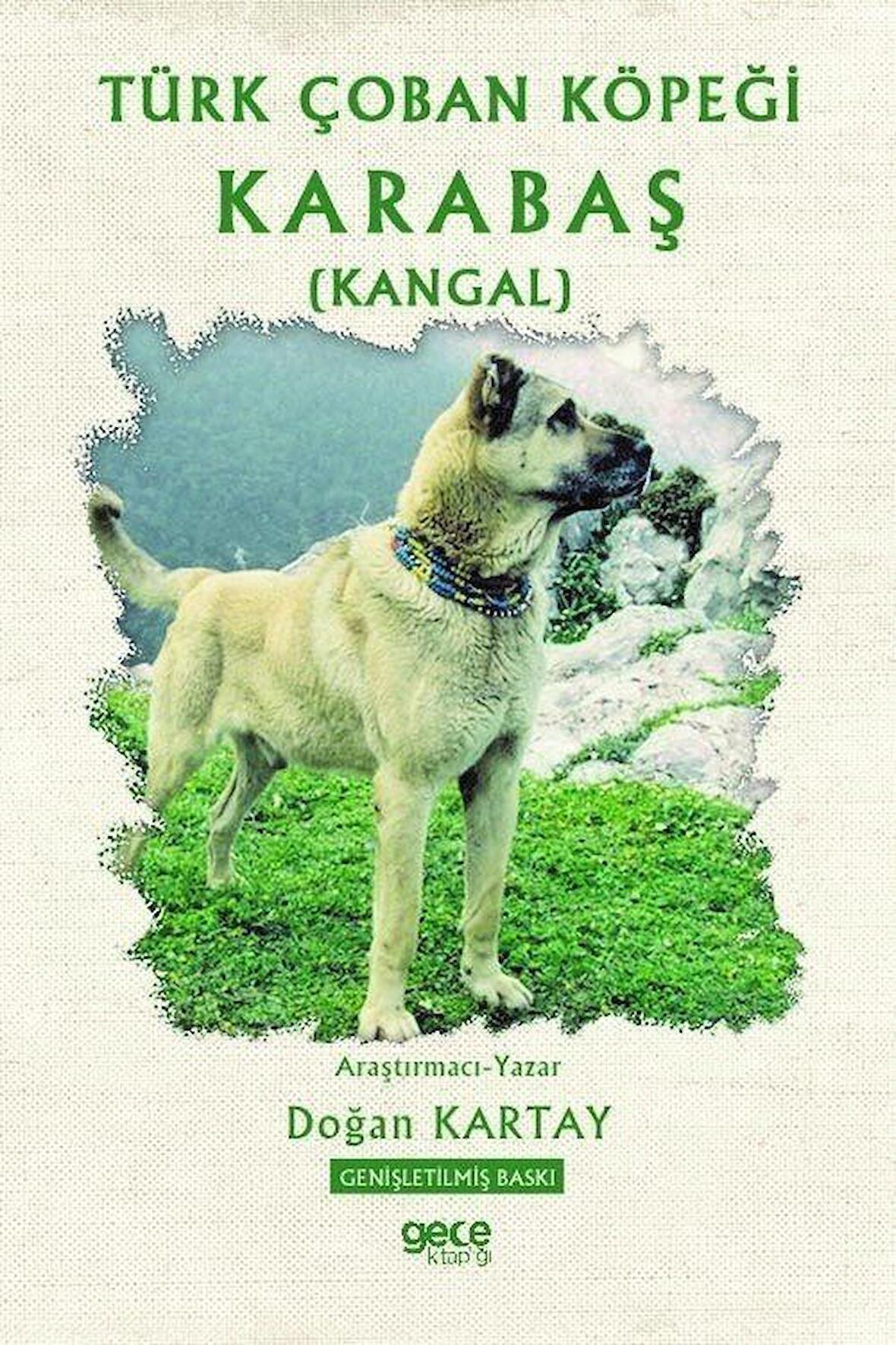 Türk Çoban Köpeği Karabaş (Kangal)