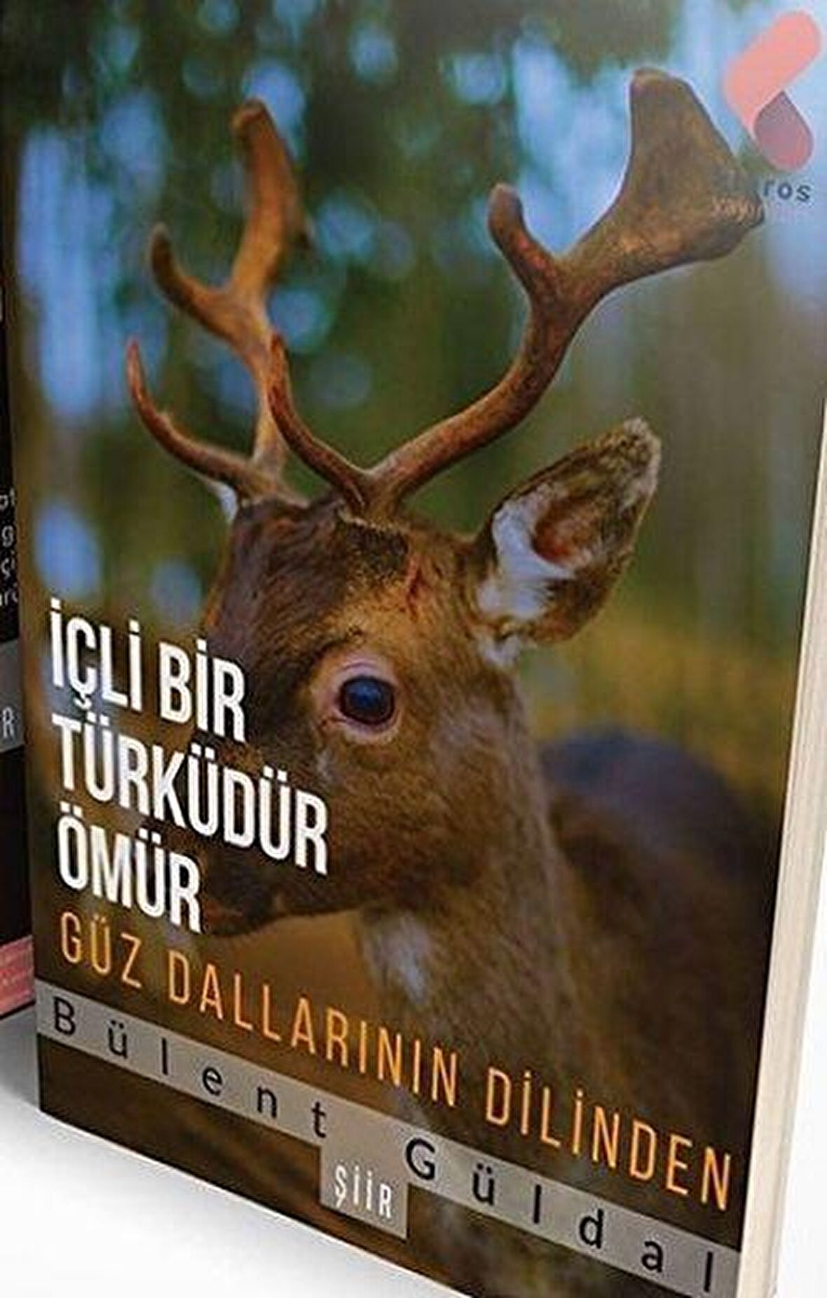 İçli Bir Türküdür Ömür