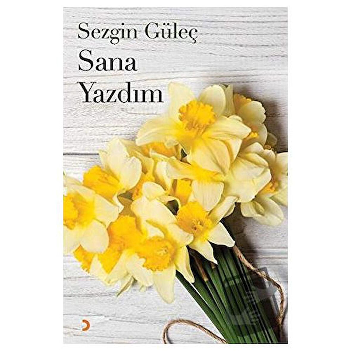 Sana Yazdım