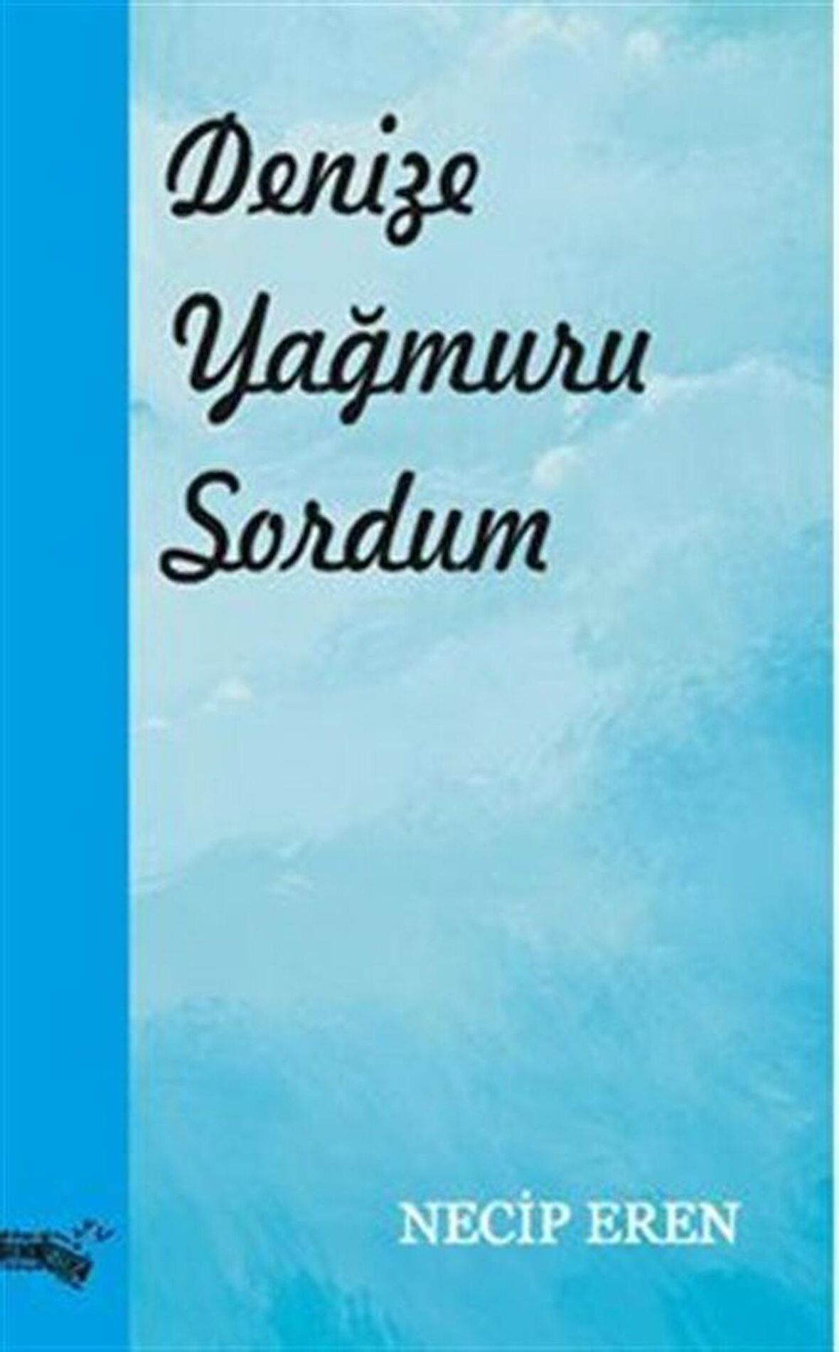 Denize Yağmuru Sordum