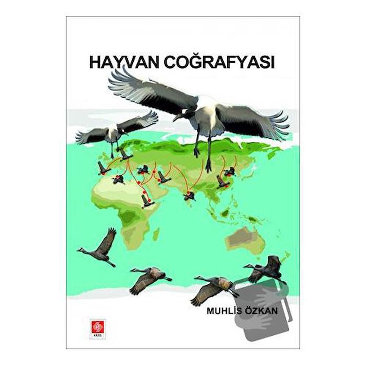 Hayvan Coğrafyası