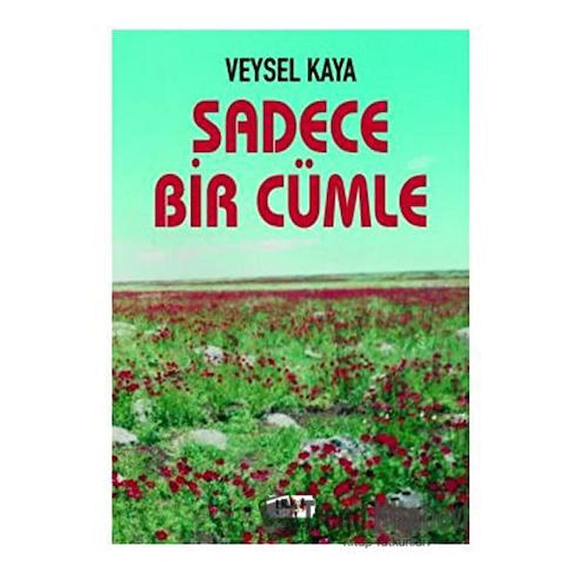 Sadece Bir Cümle