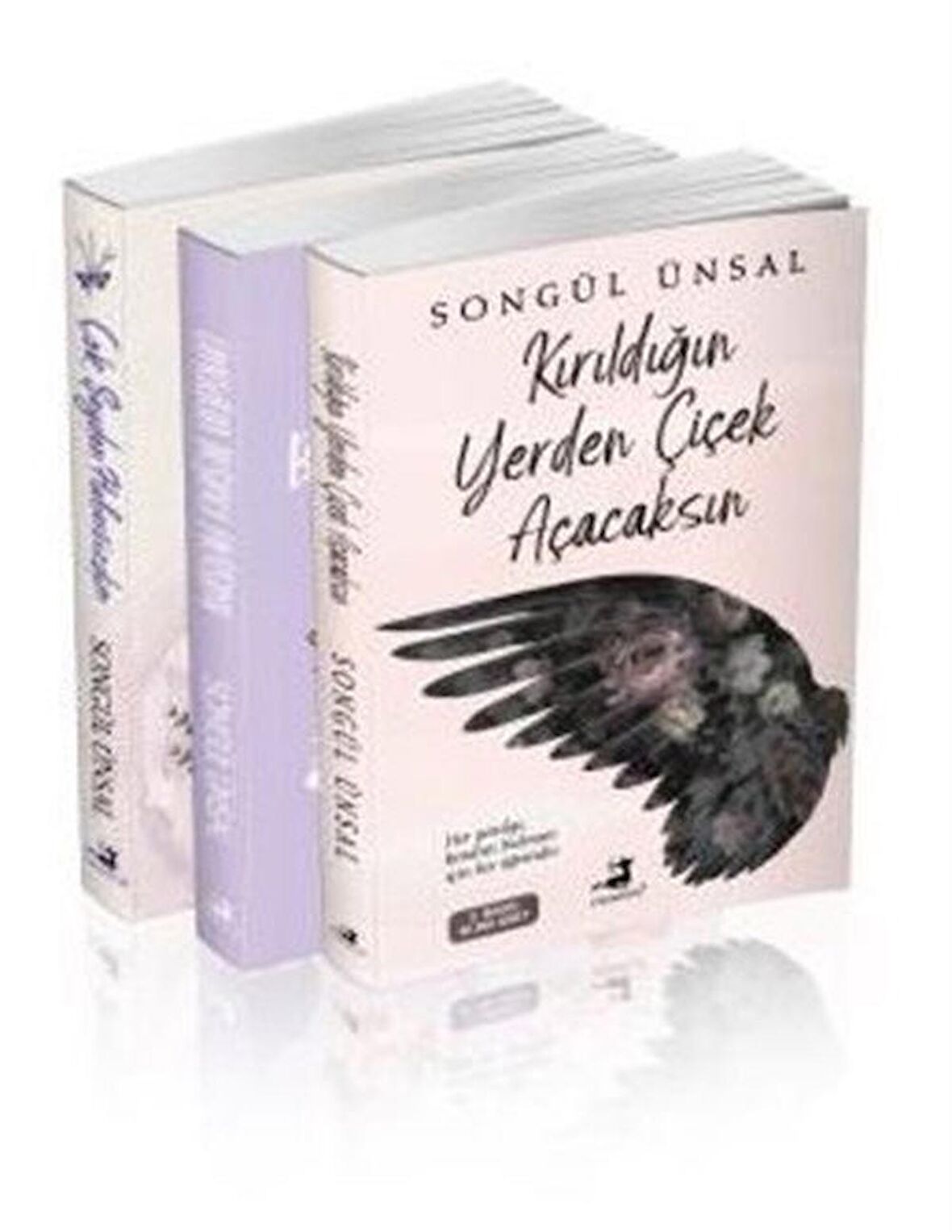 Songül Ünsal Seti 2 - 3 Kitap Takım