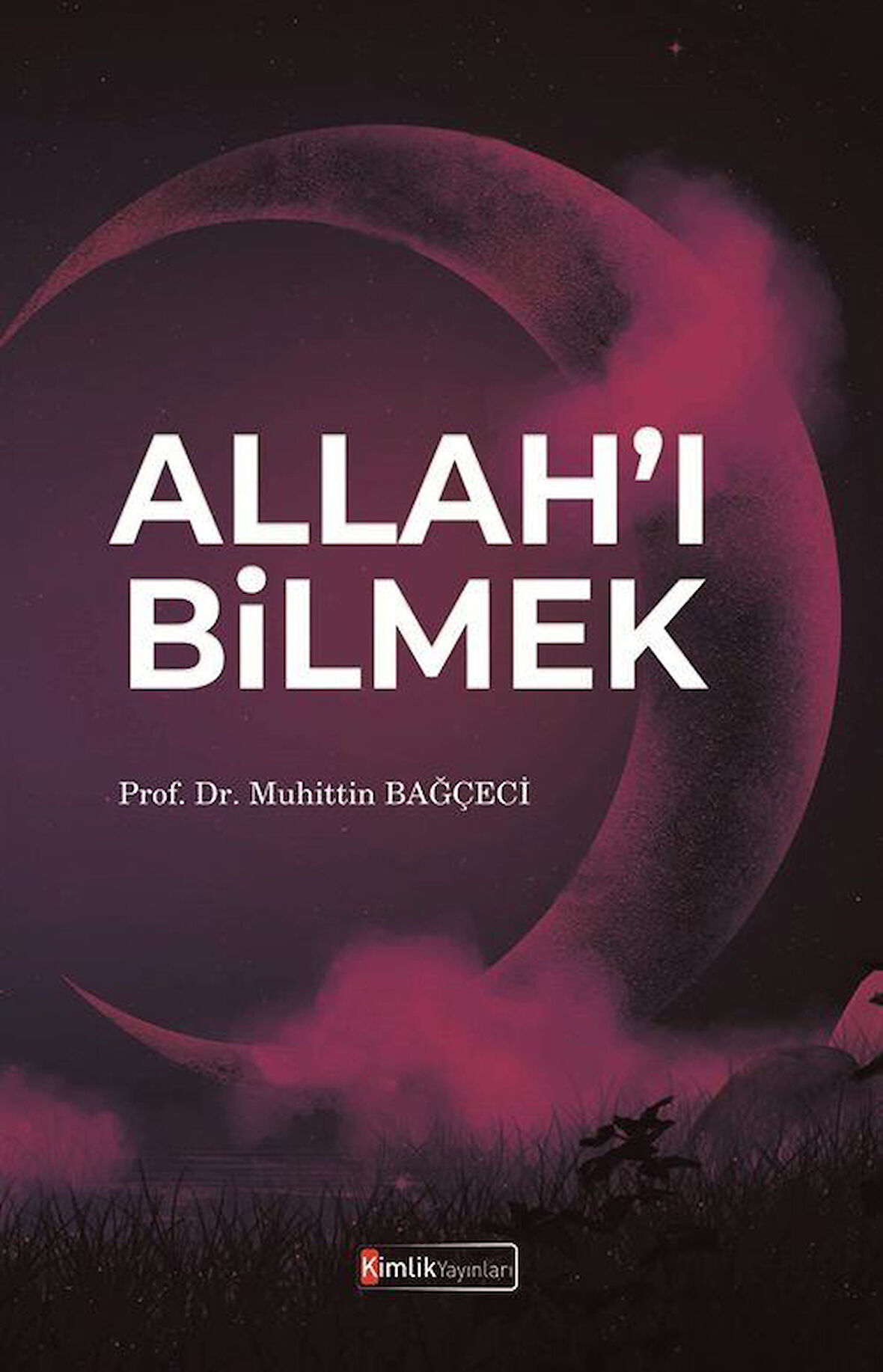 Allah'ı Bilmek / Prof. Dr. Muhittin Bağçeci