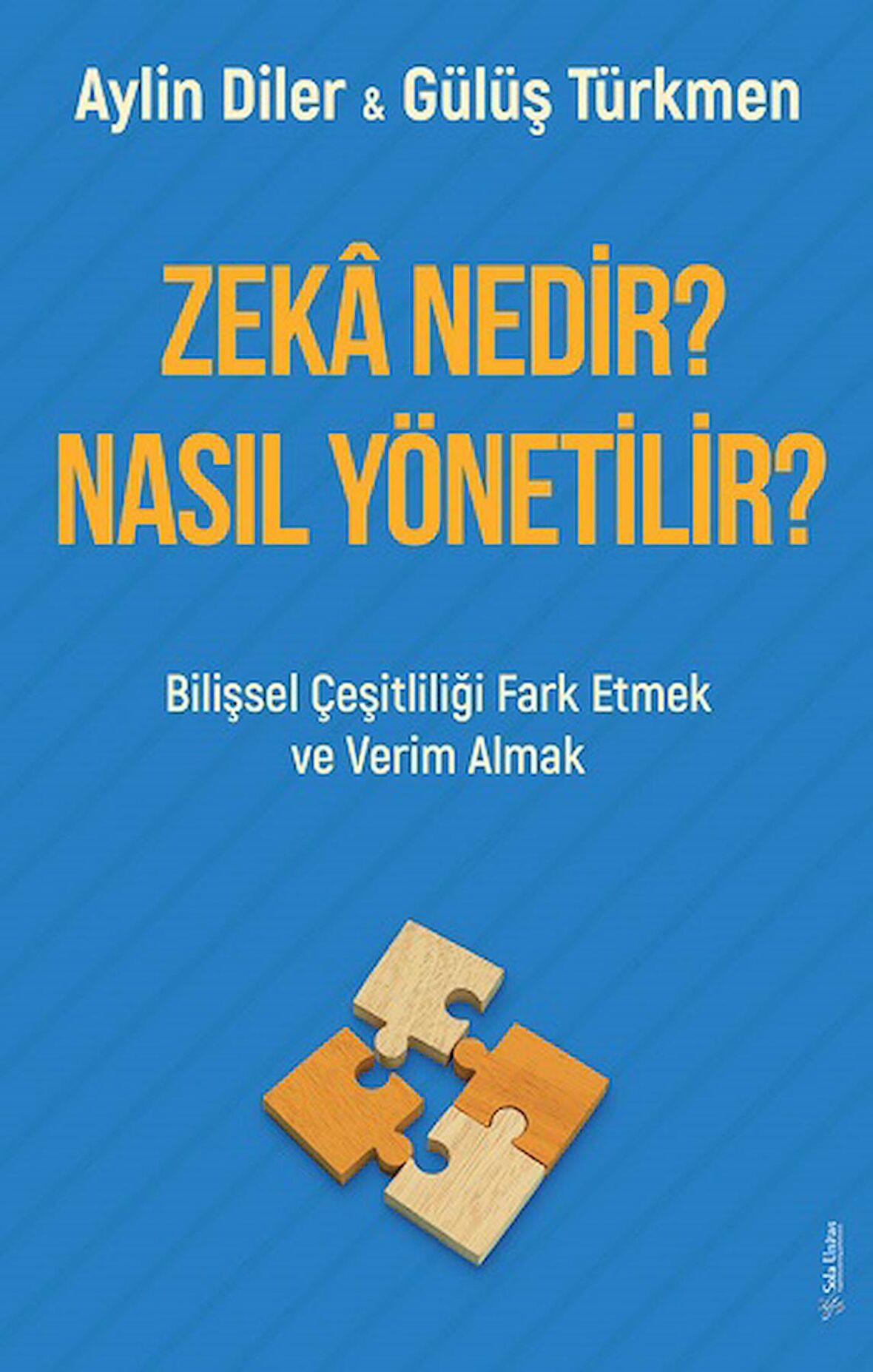 Zeka Nedir? Nasıl Yönetilir?