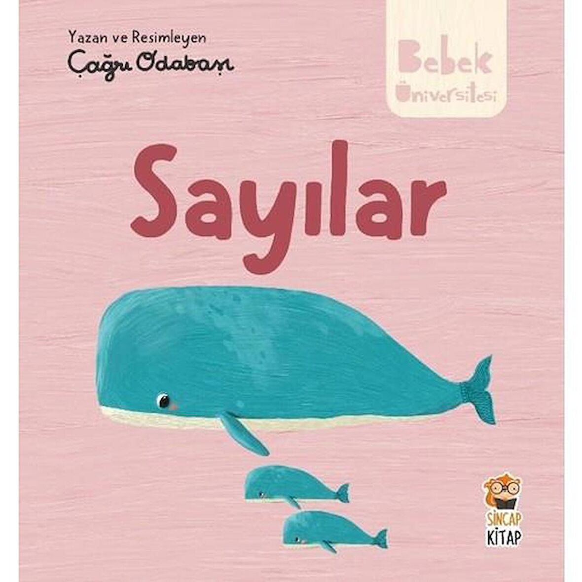 Hikayeli İlk Kavramlarım - Sayılar