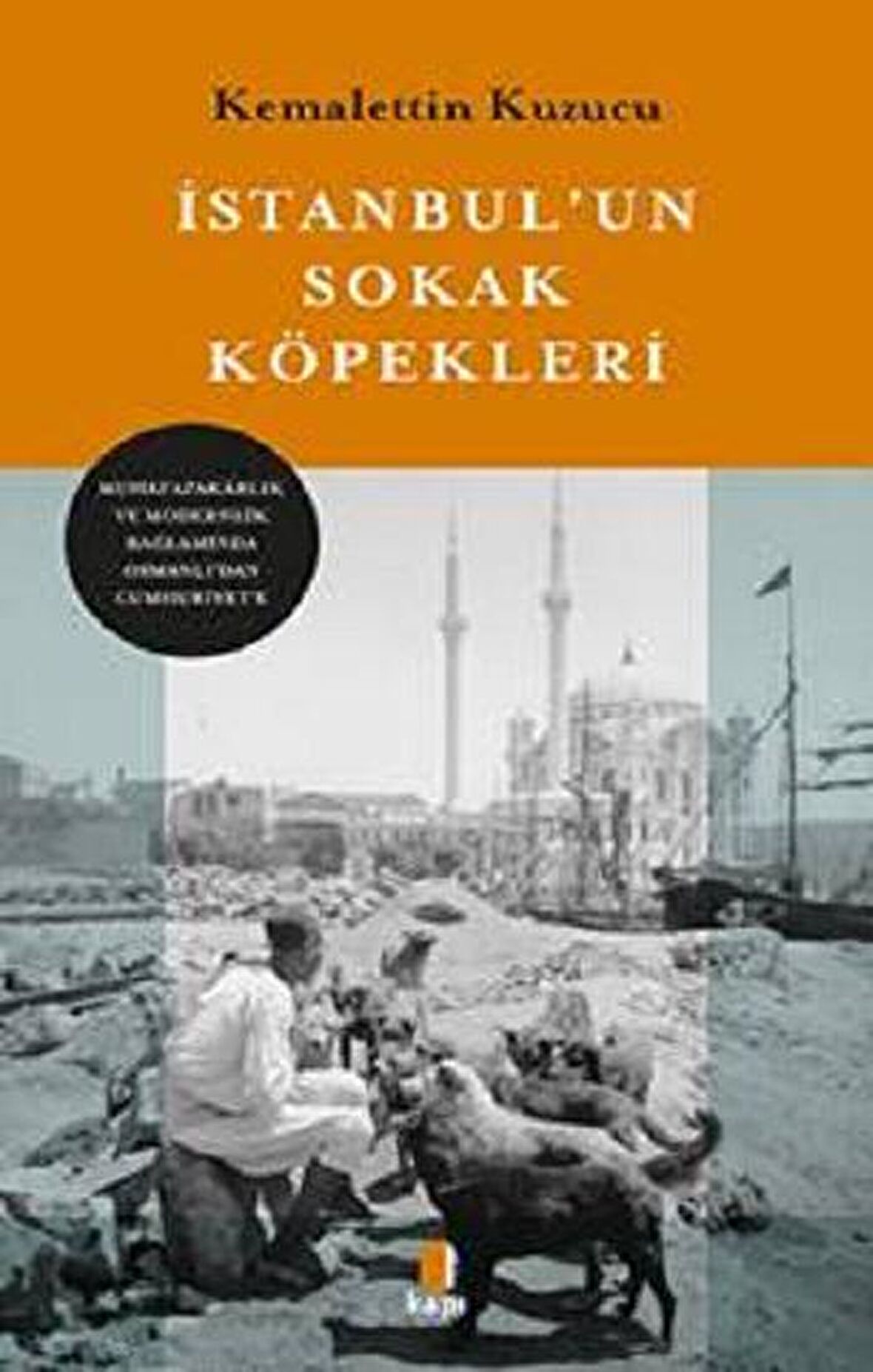 İstanbul'un Sokak Köpekleri