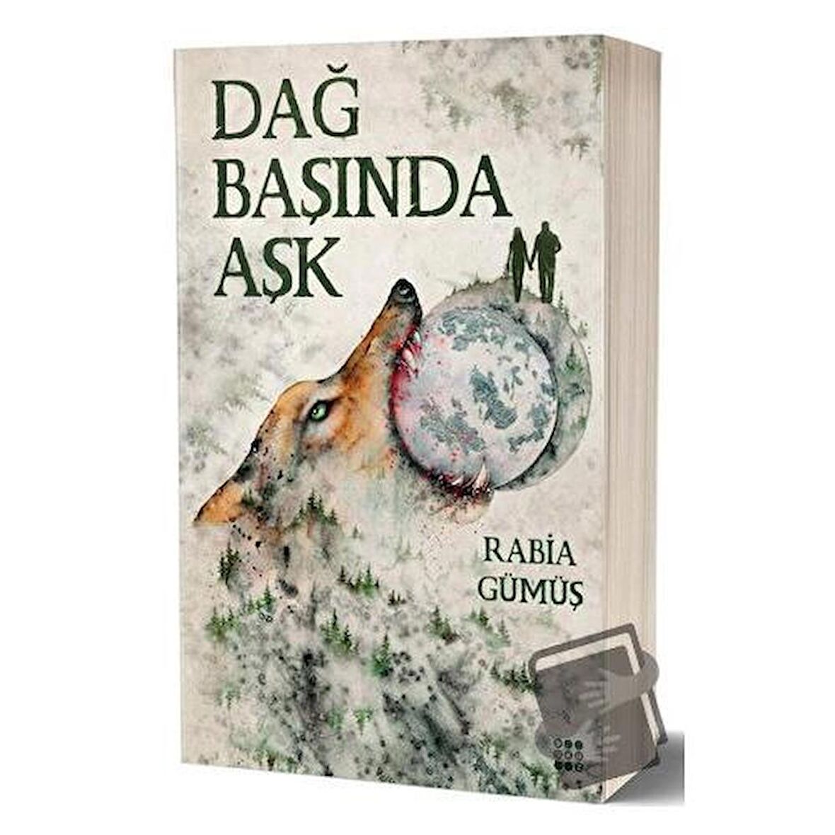 Dağ Başında Aşk