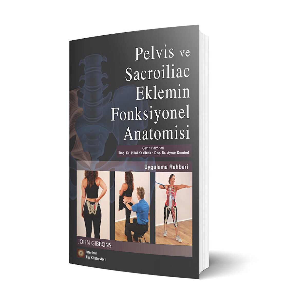 Pelvis ve Sacroiliac Eklemin Fonksiyonel Anatomisi