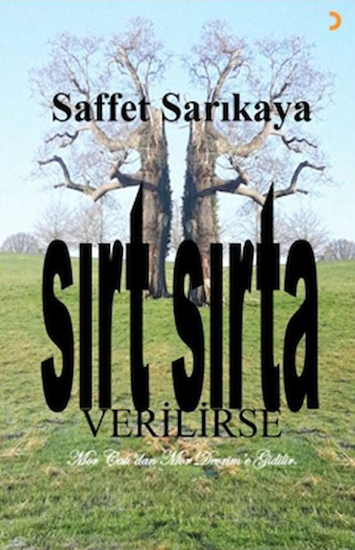 Sırt Sırta Verilirse