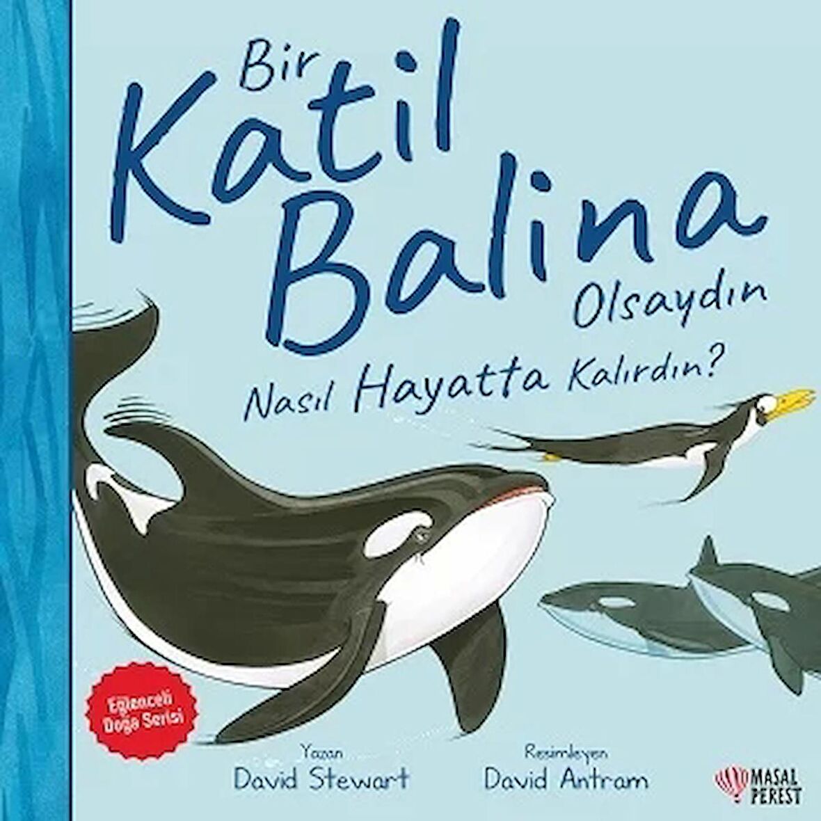 Bir Katil Balina Olsaydın Nasıl Hayatta Kalırdın?