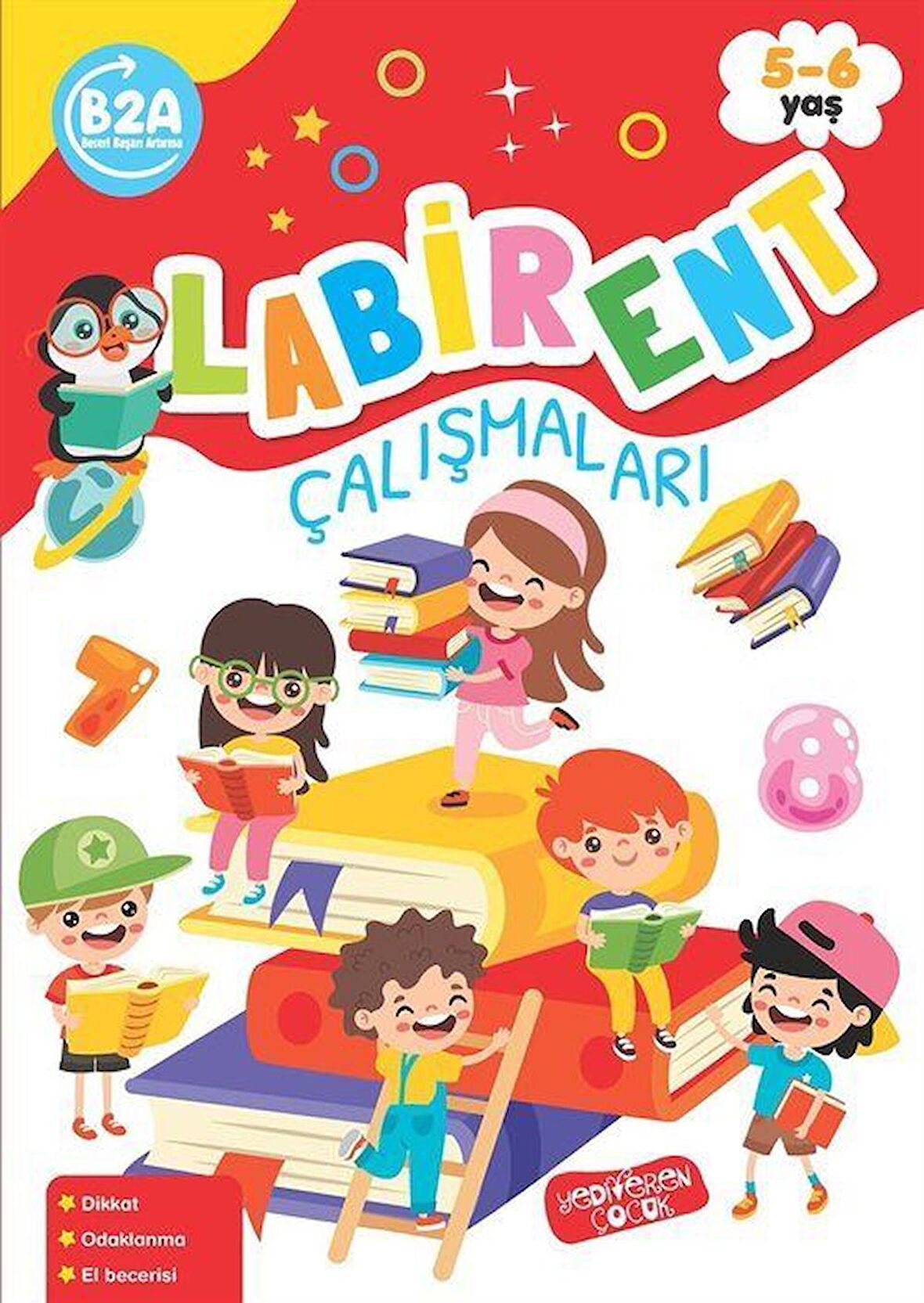 Labirent Çalışmaları / Kolektif