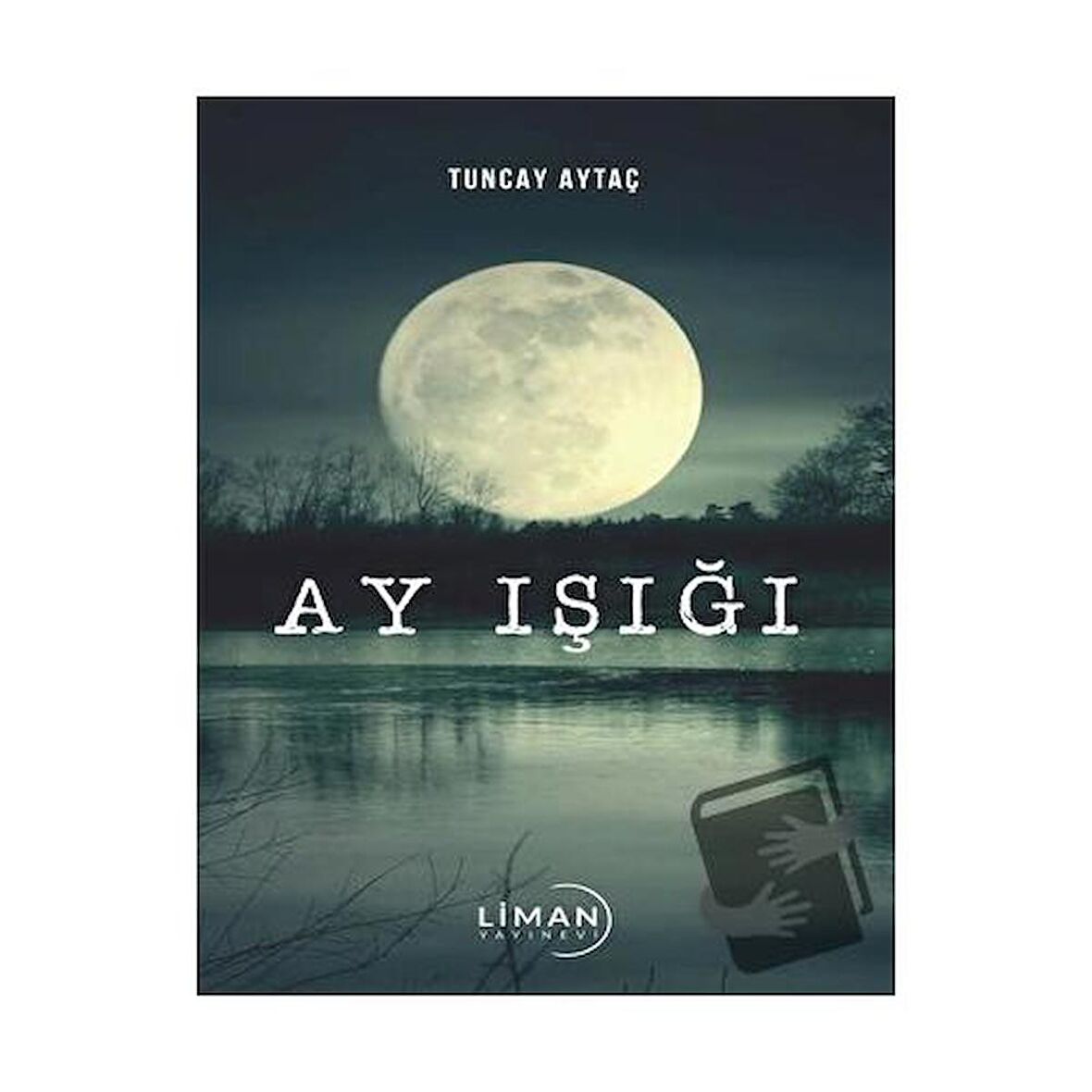 Ay Işığı