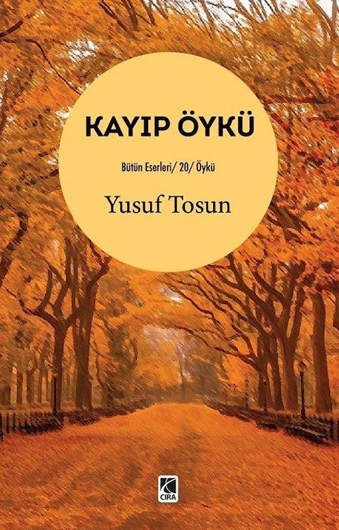 Kayıp Öykü