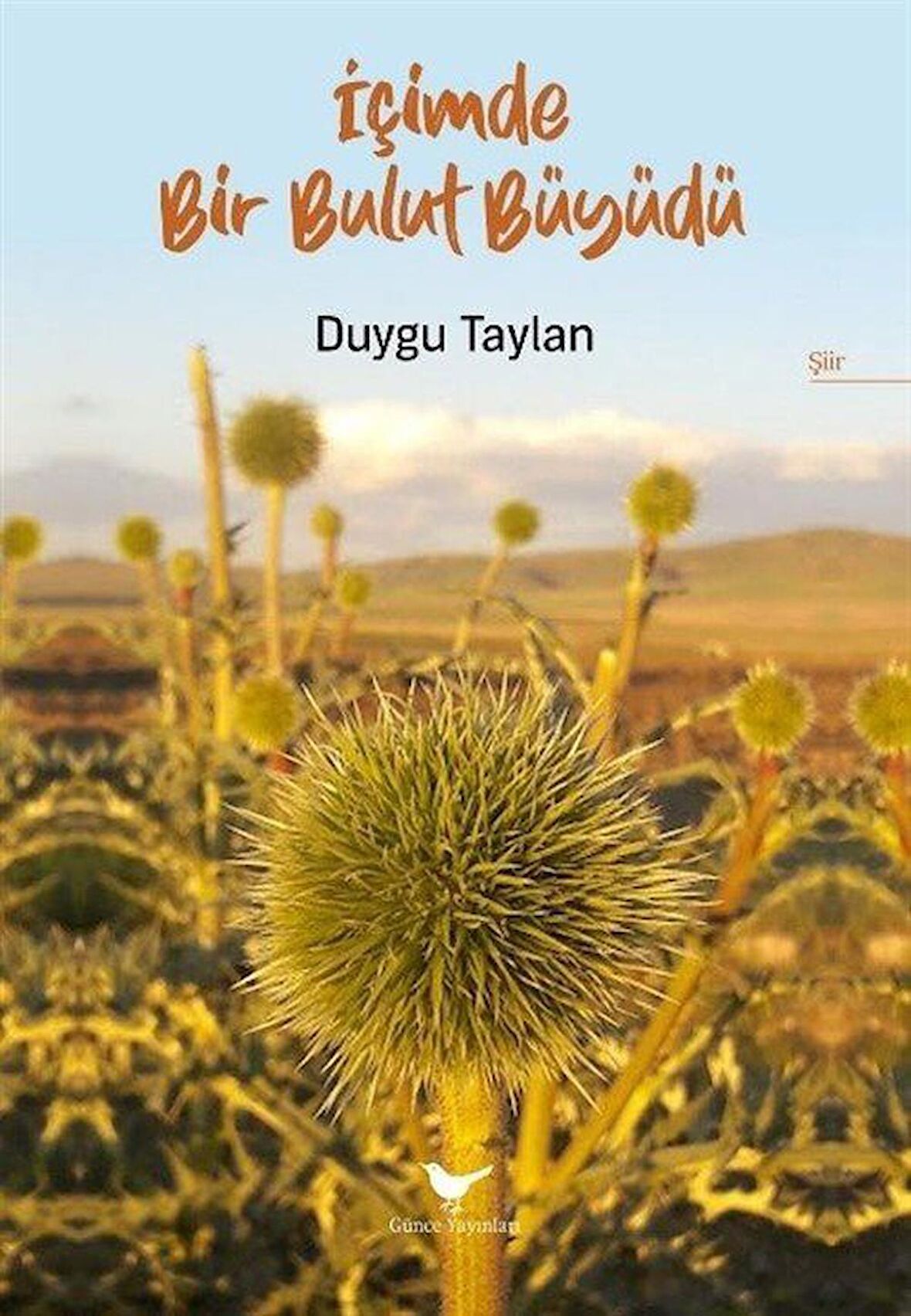 İçimde Bir Bulut Büyüdü