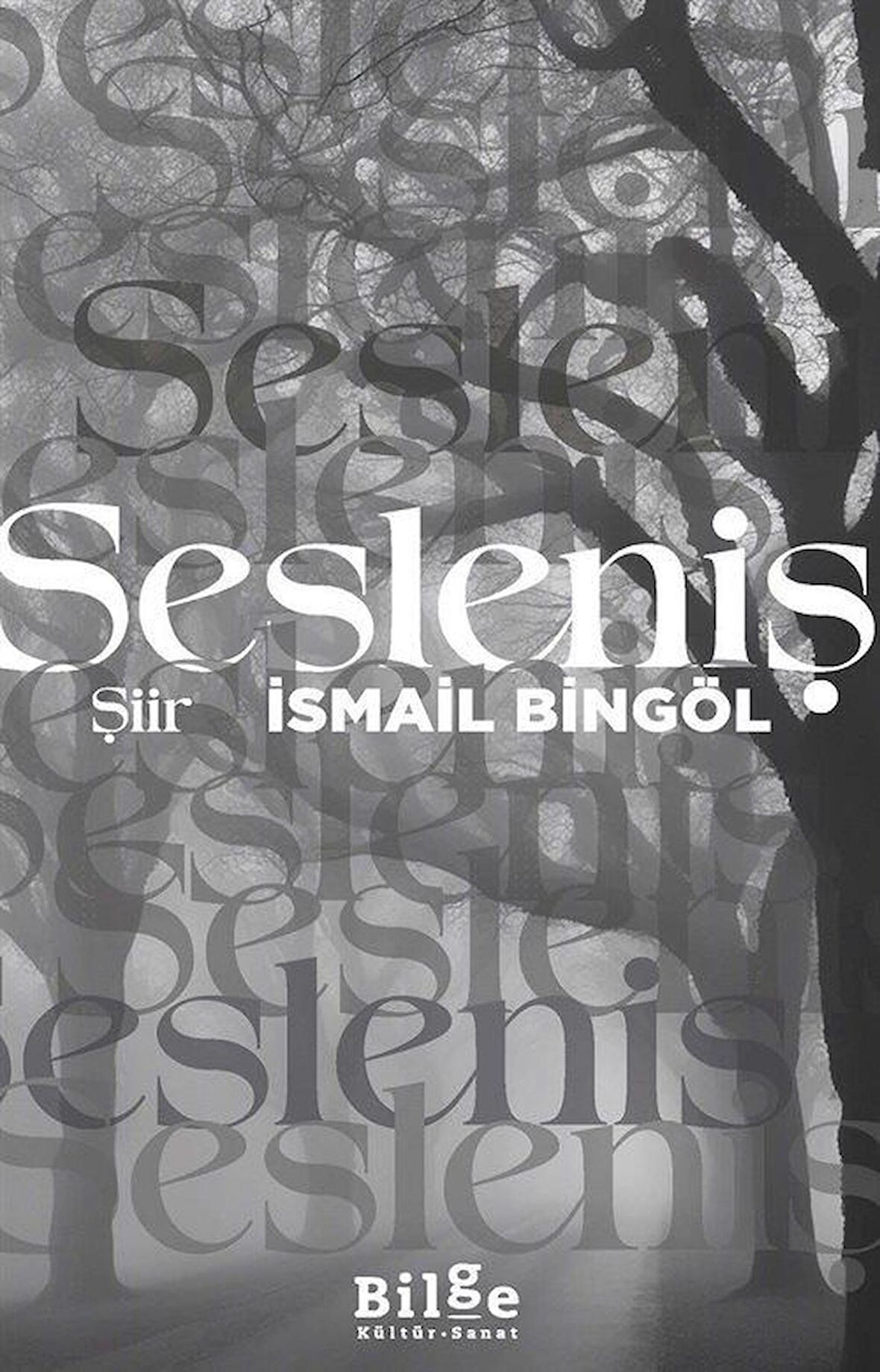 Sesleniş / İsmail Bingöl