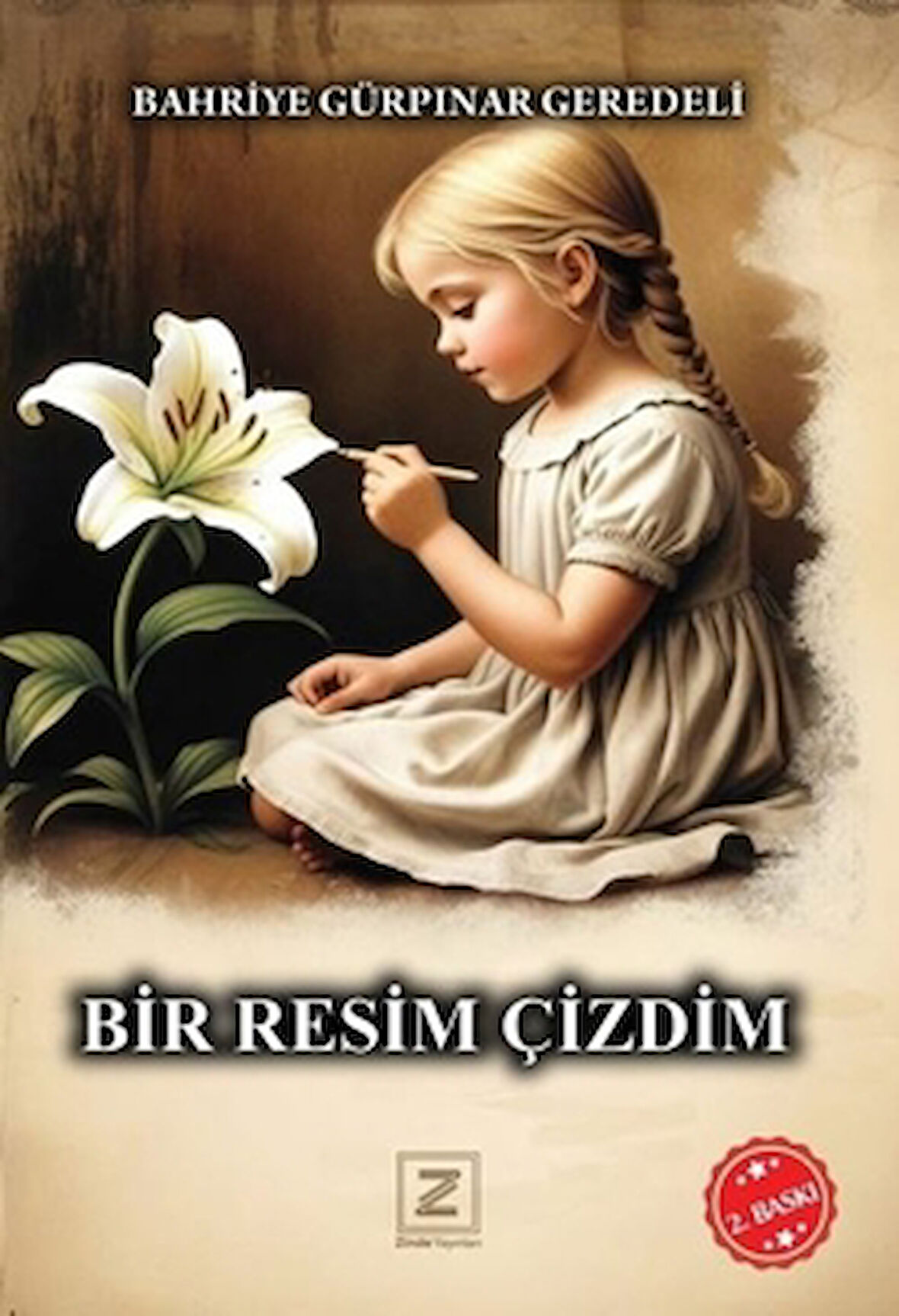 Bir Resim Çizdim