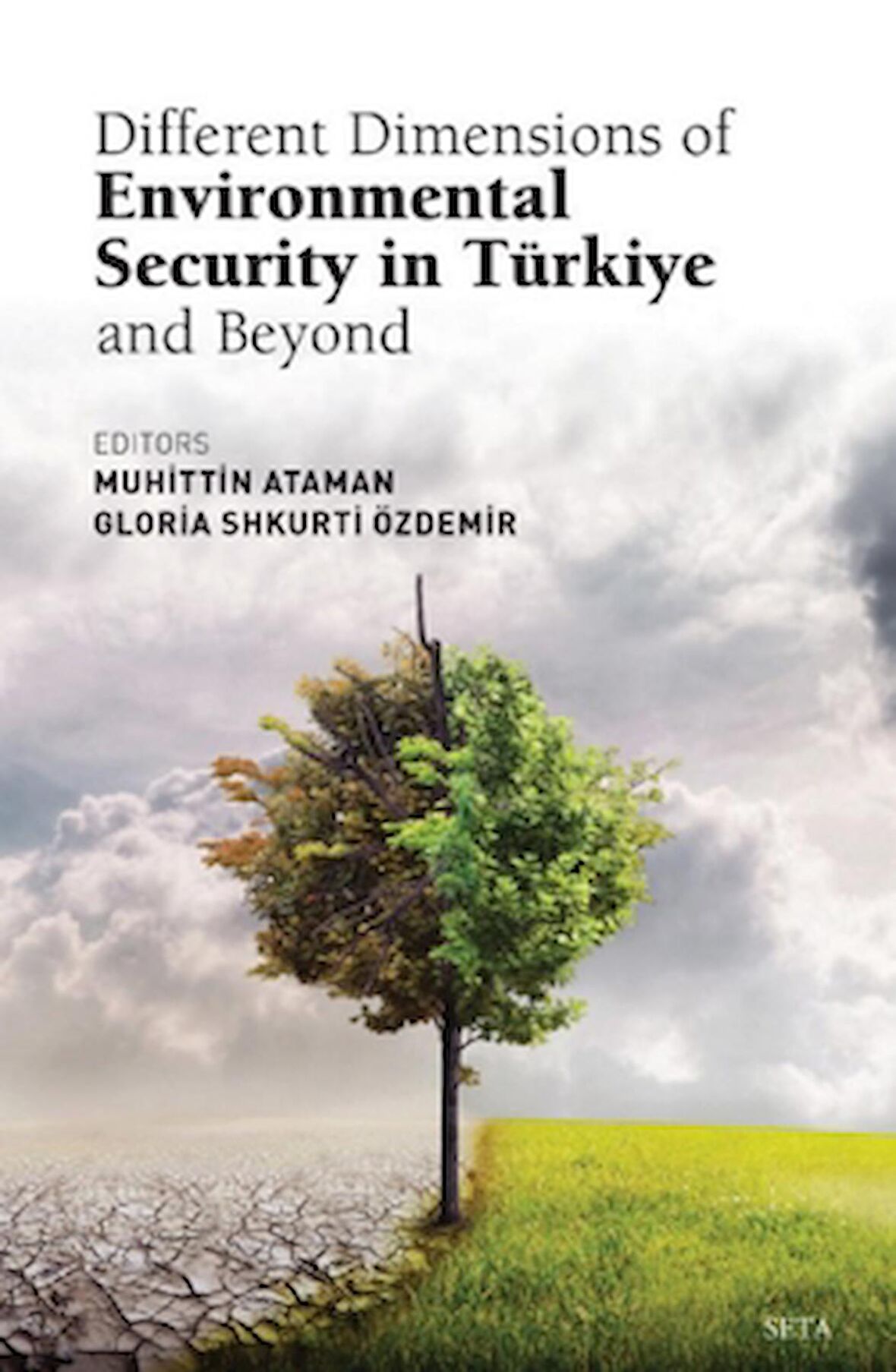 Different Dimensions of Environmental Security in Turkiye And Beyond