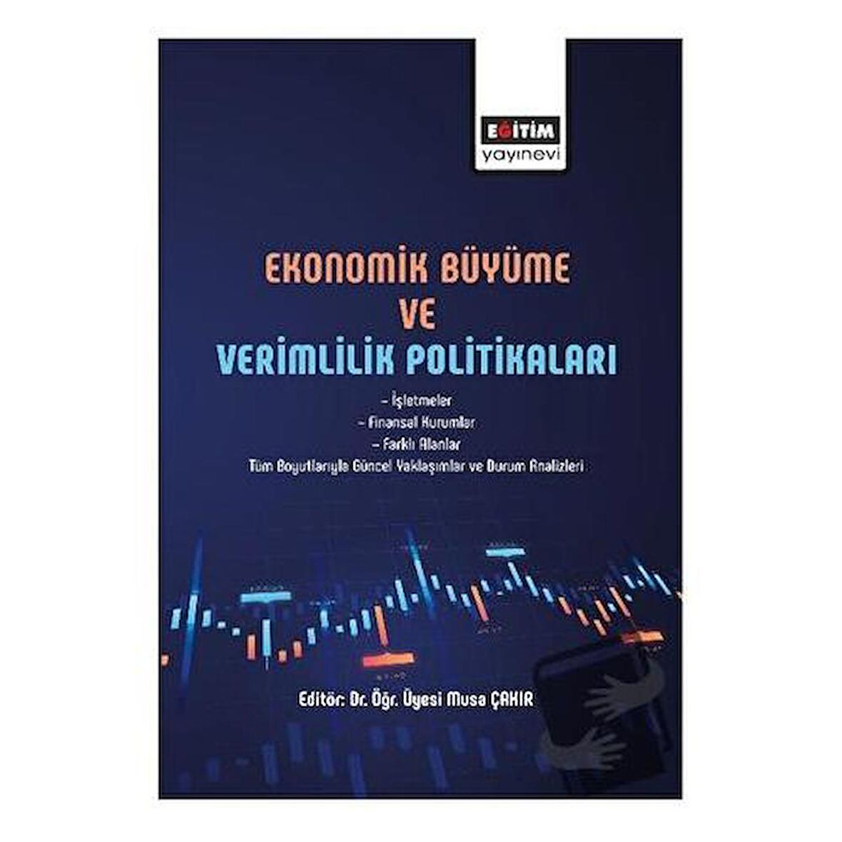 Ekonomik Büyüme ve Verimlilik Politikası
