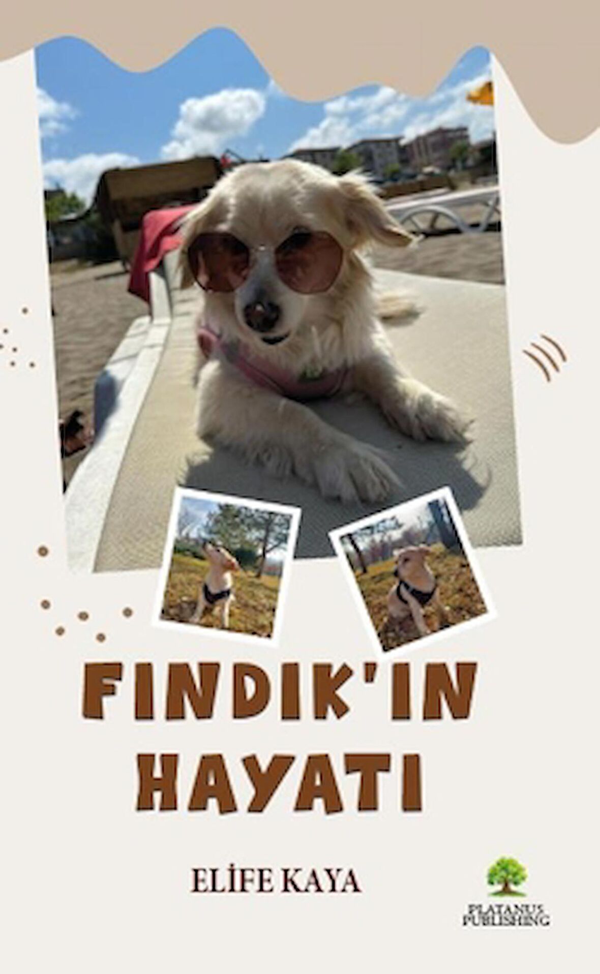 Fındık’ın Hayatı