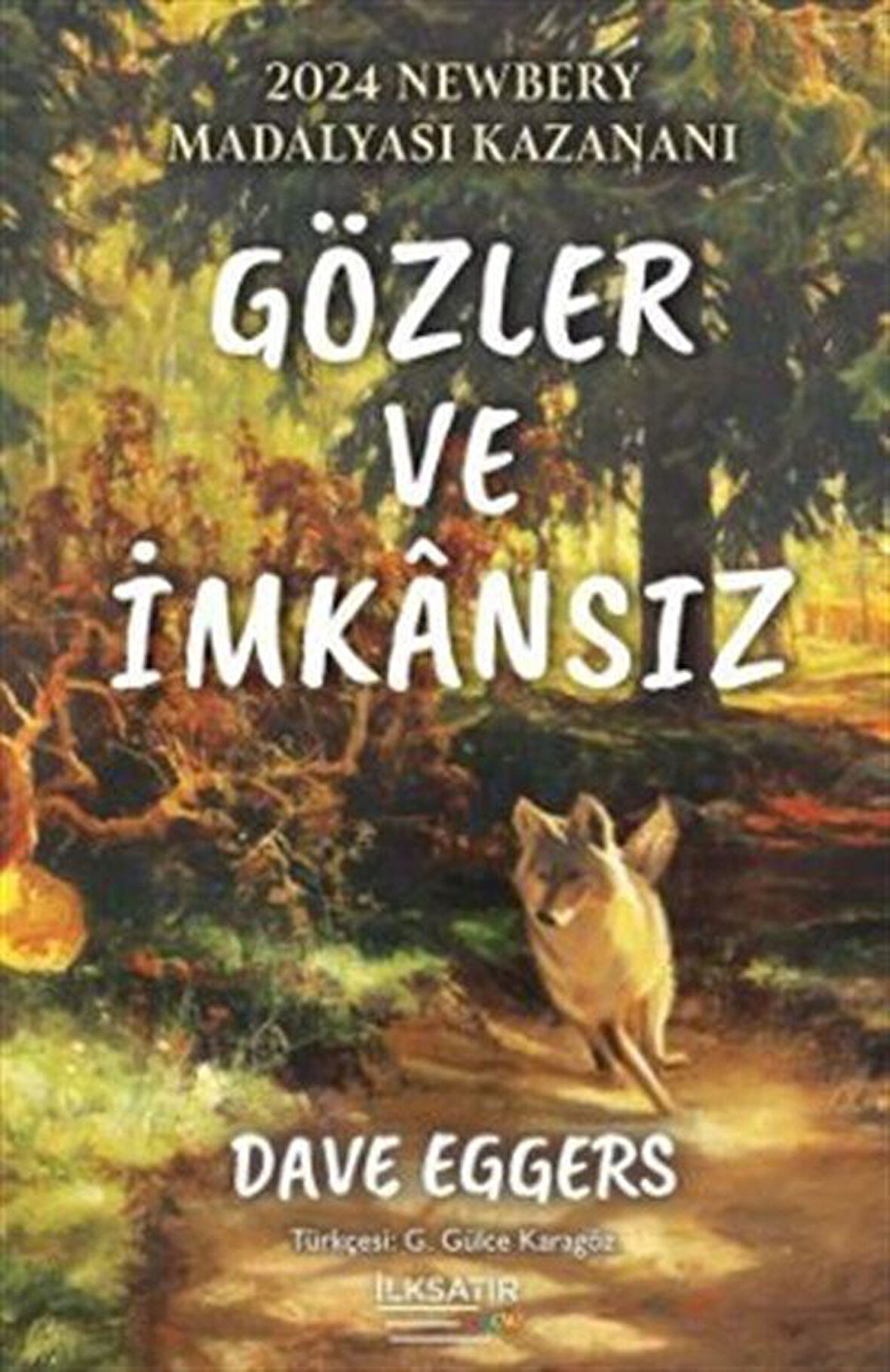 Gözler ve İmkansız / Dave Eggers