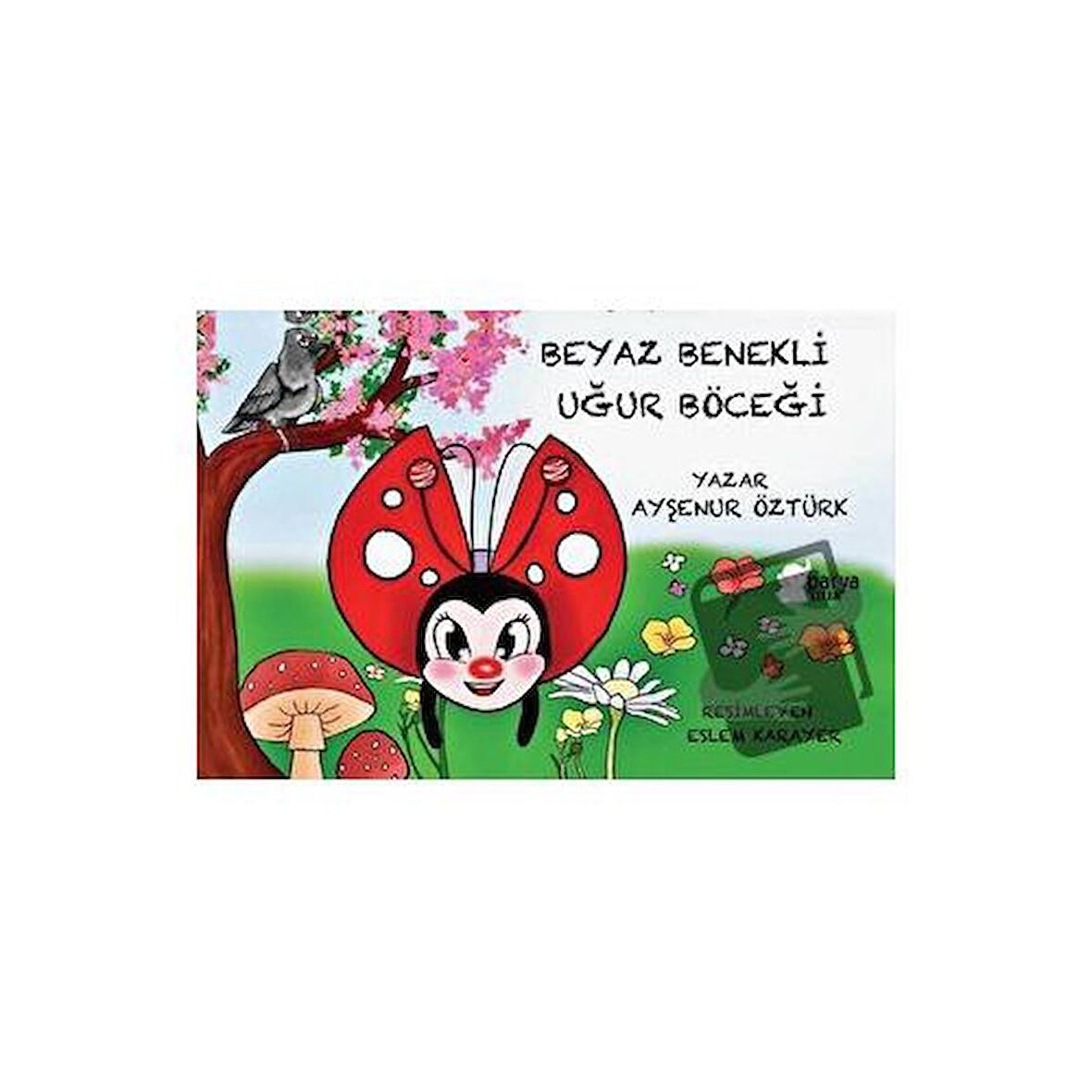 Beyaz Benekli Uğur Böceği