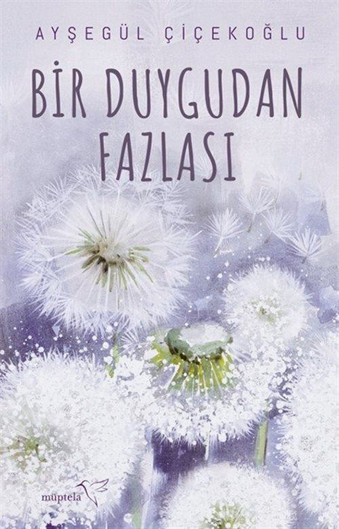 Bir Duygudan Fazlası / Ayşegül Çiçekoğlu