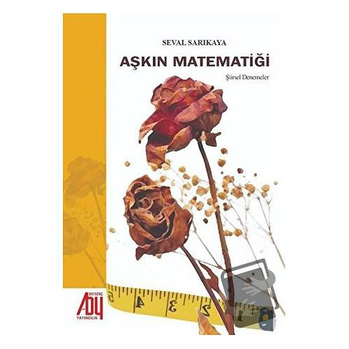 Aşkın Matematiği