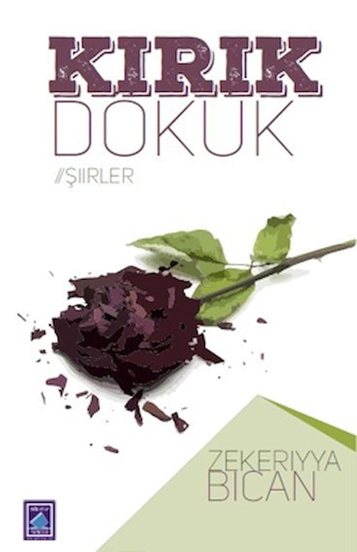 Kırık Dökük