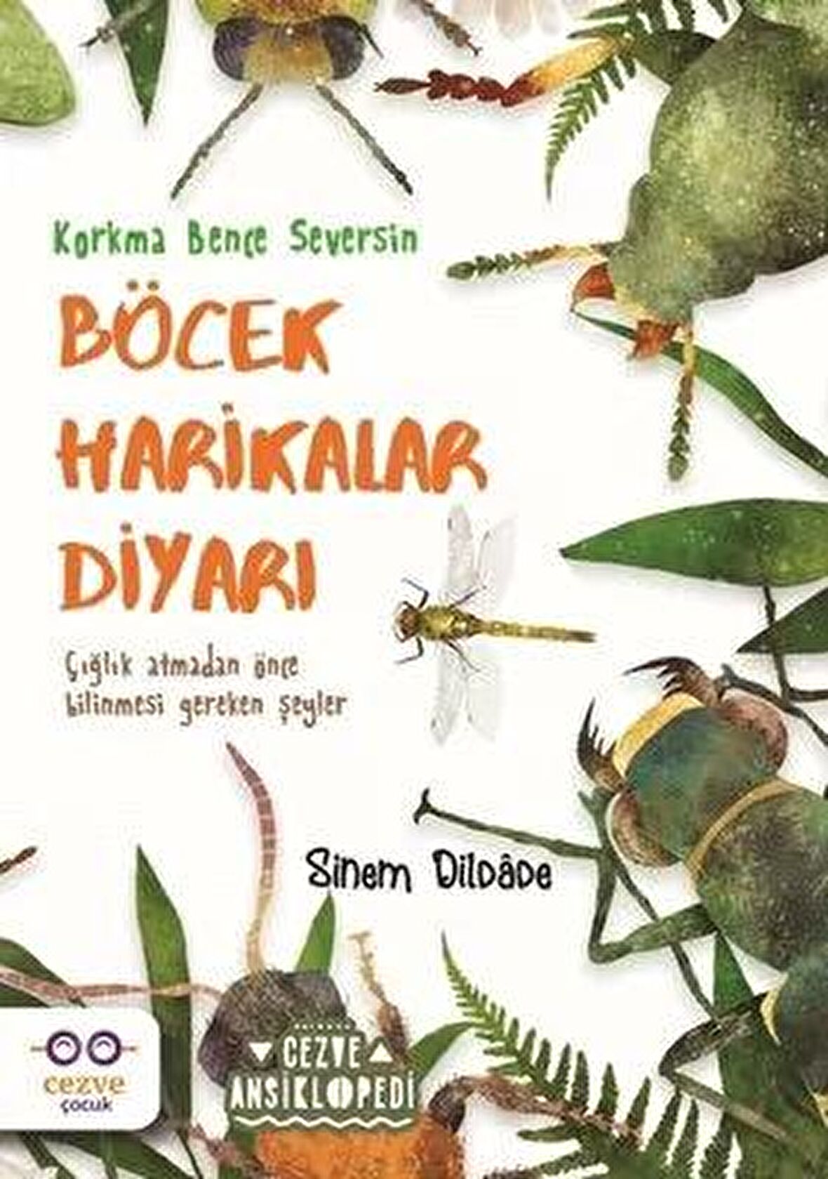 Böcek Harikalar Diyarı